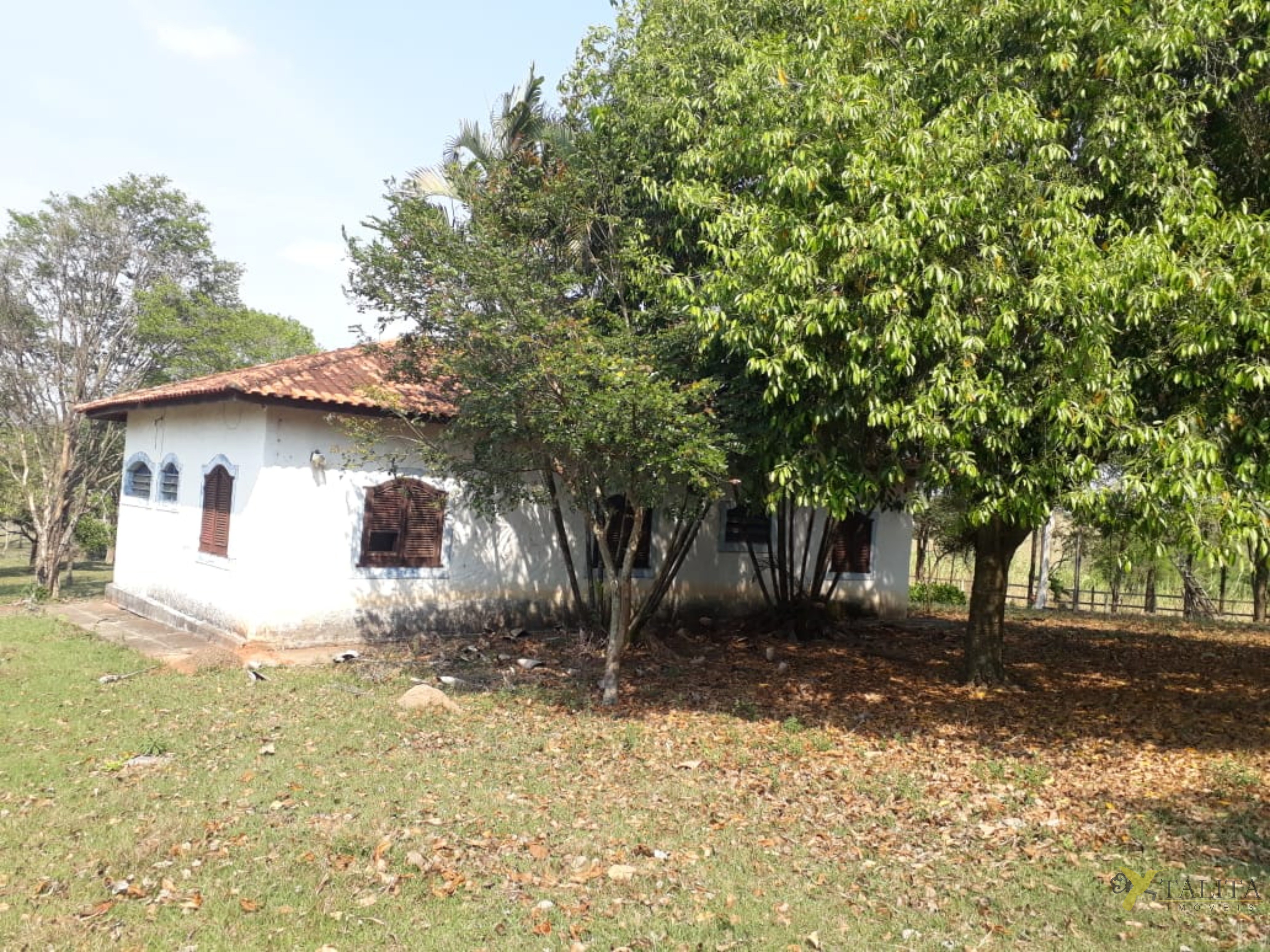 Sítio à venda - 3 alqueires - cesário lange