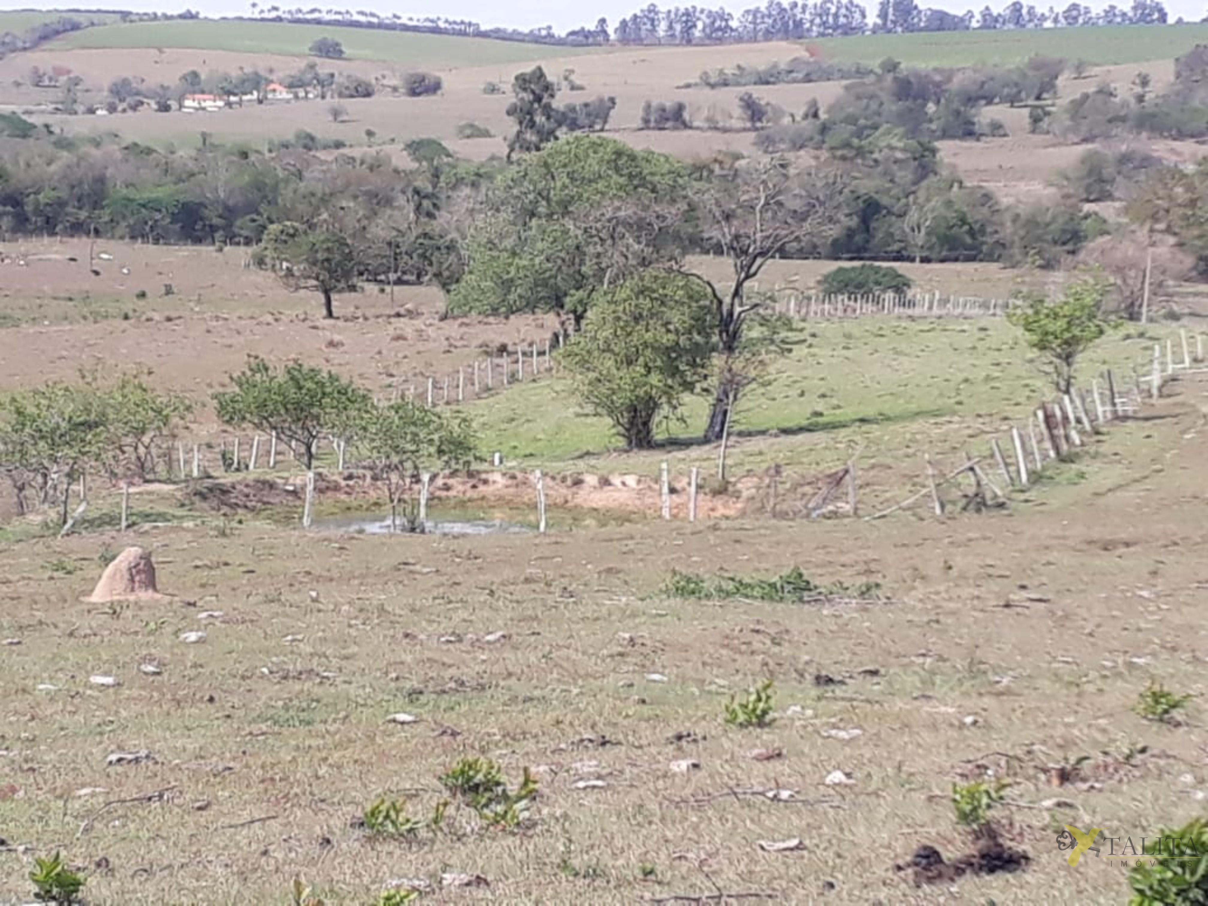 Sítio à venda - 3 alqueires - cesário lange