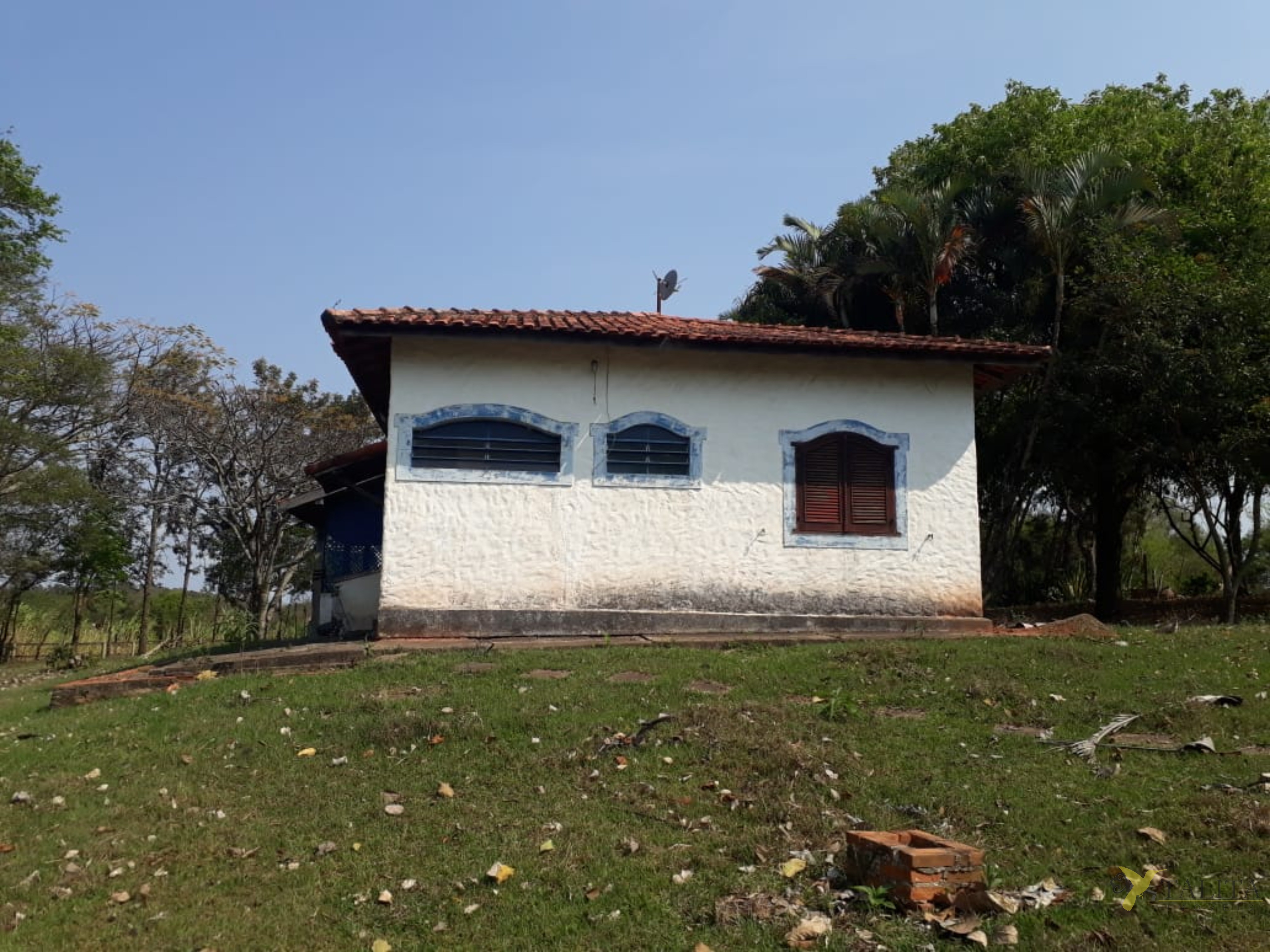 Sítio à venda - 3 alqueires - cesário lange