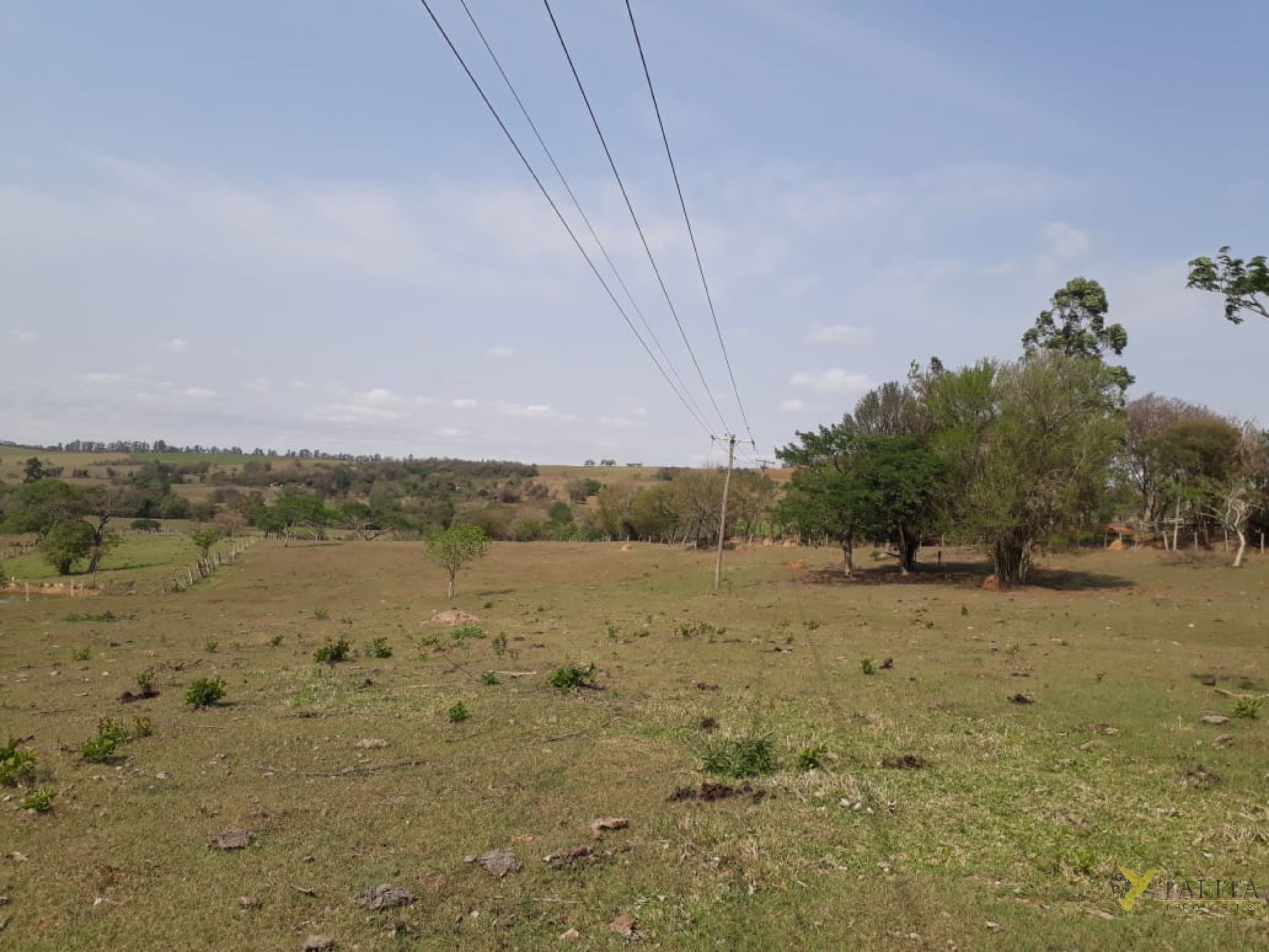 Sítio à venda - 3 alqueires - cesário lange