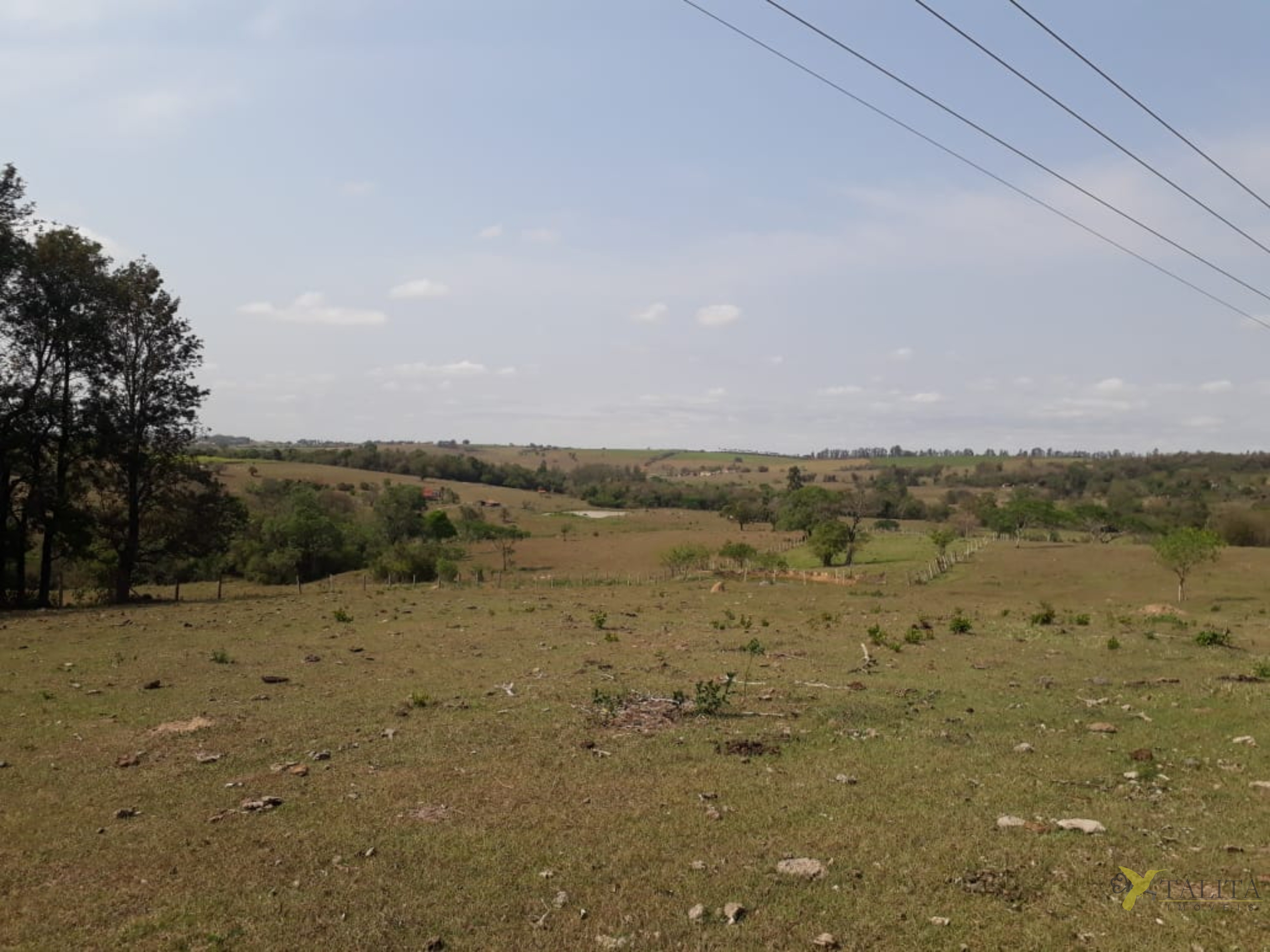 Sítio à venda - 3 alqueires - cesário lange