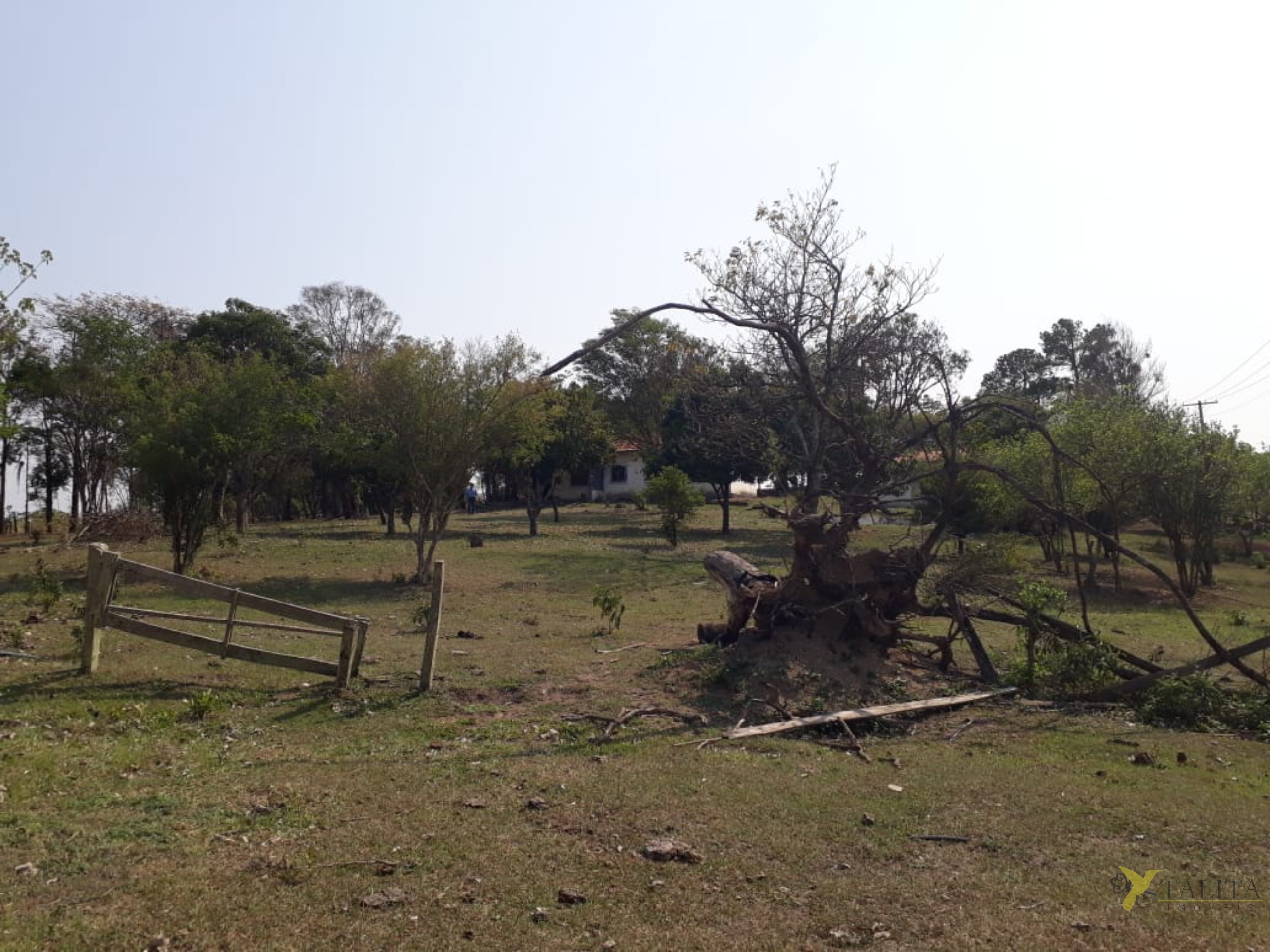 Sítio à venda - 3 alqueires - cesário lange