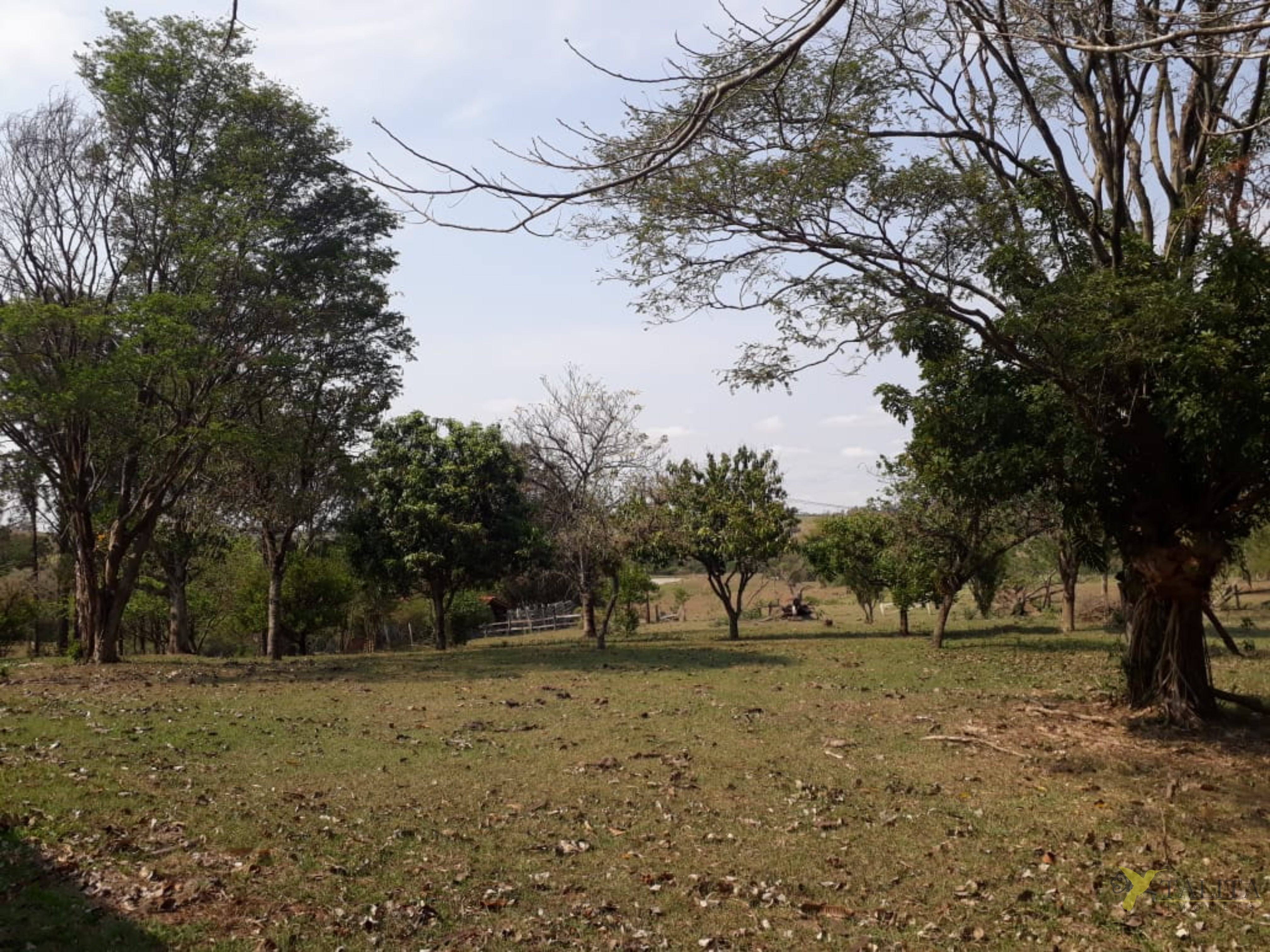 Sítio à venda - 3 alqueires - cesário lange
