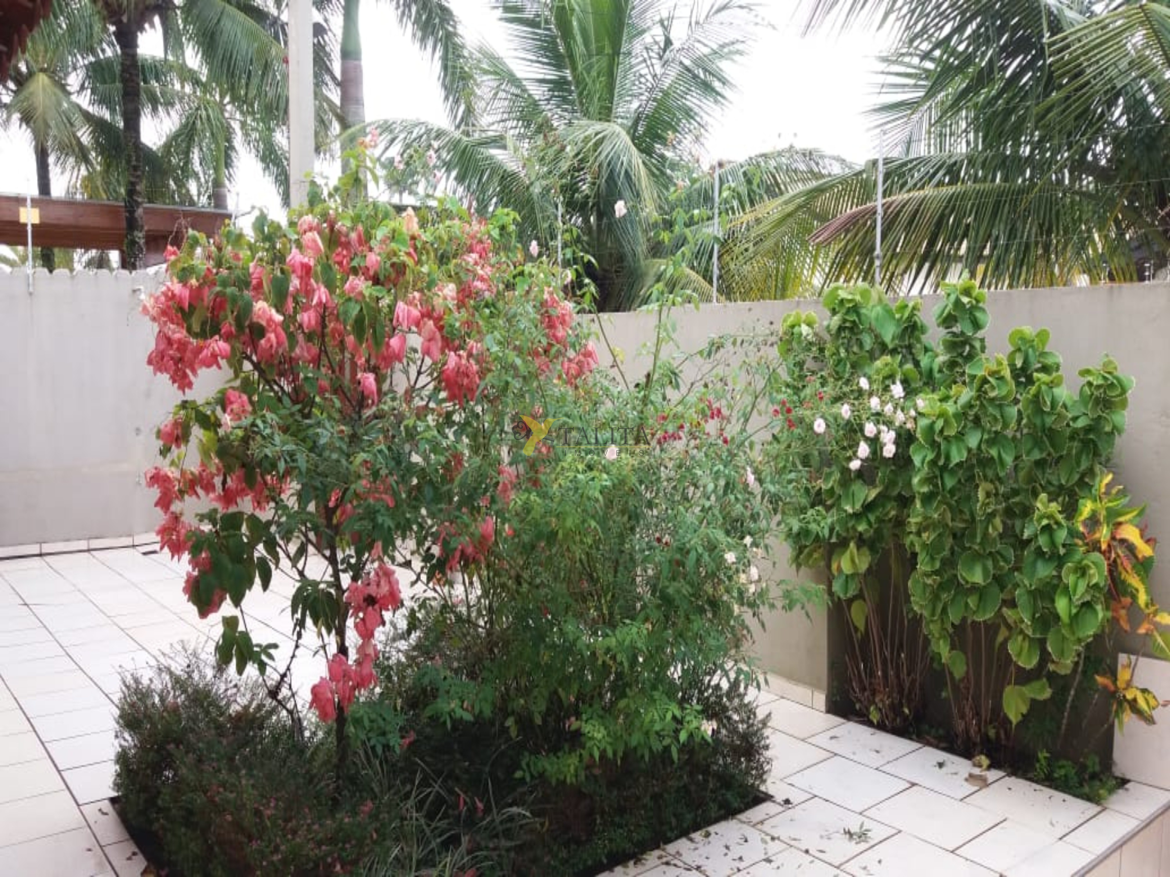 Casa à venda - peruíbe - sp