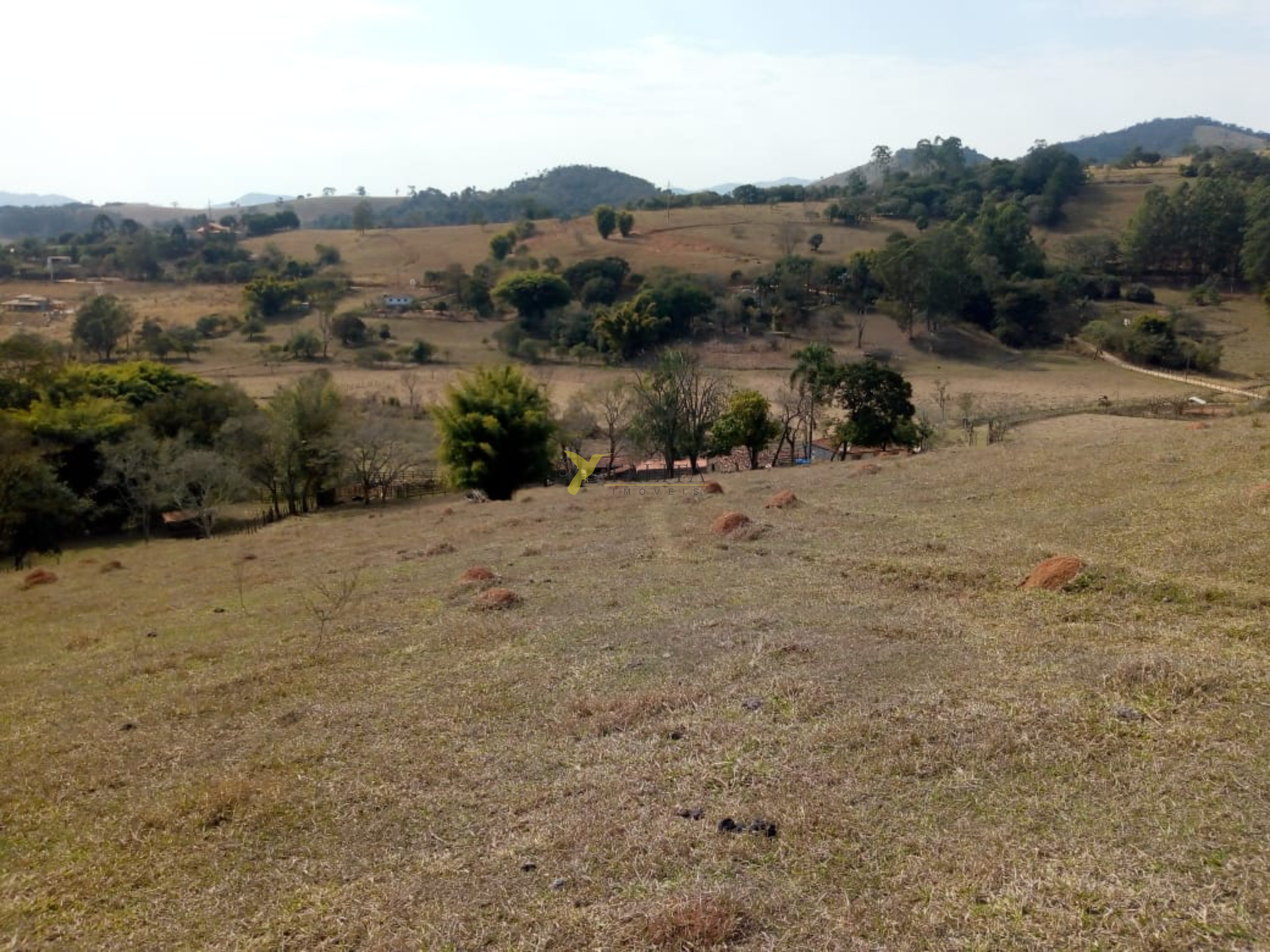 Fazenda à venda - cambuí - mg