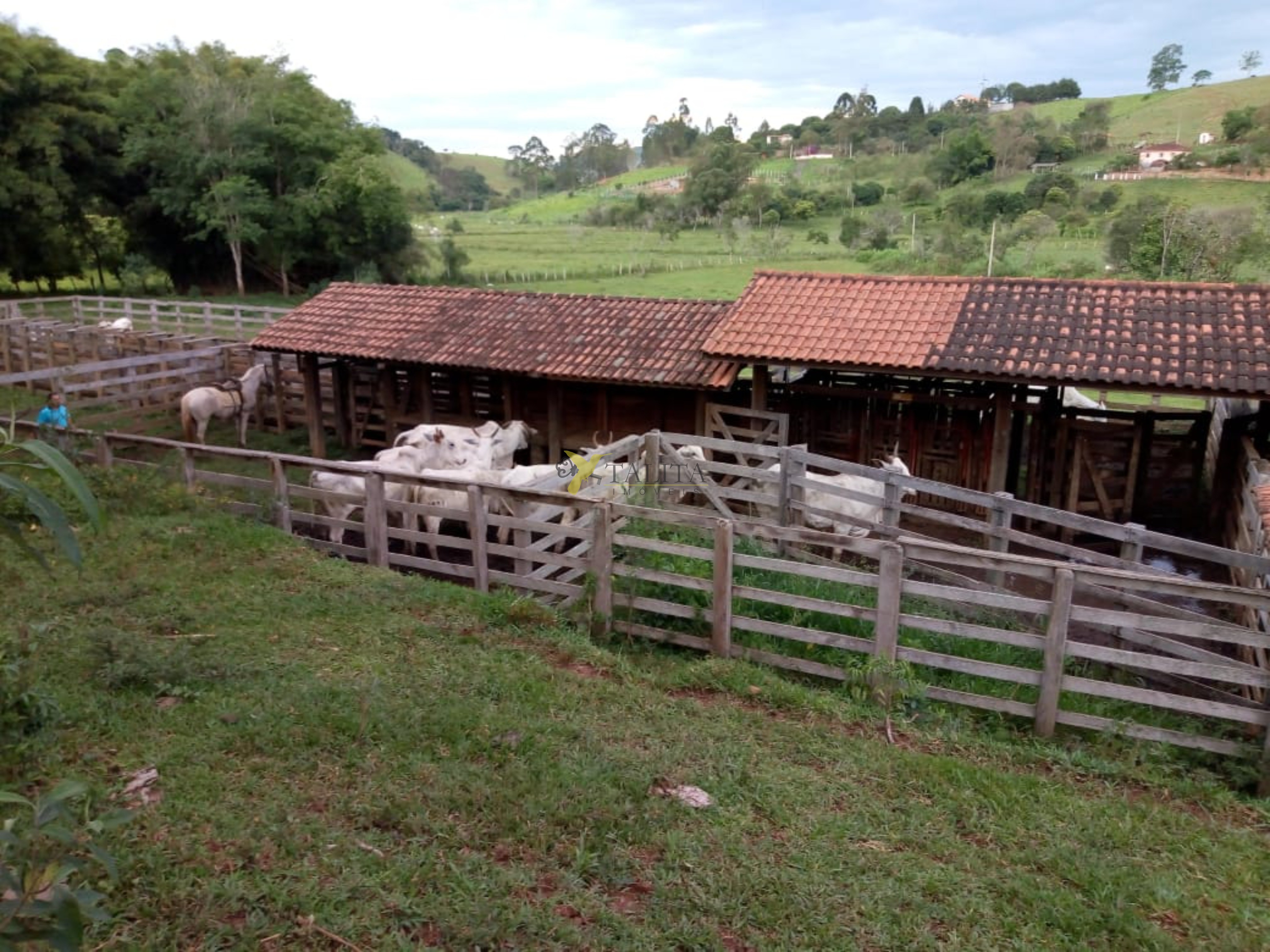 Fazenda à venda - cambuí - mg