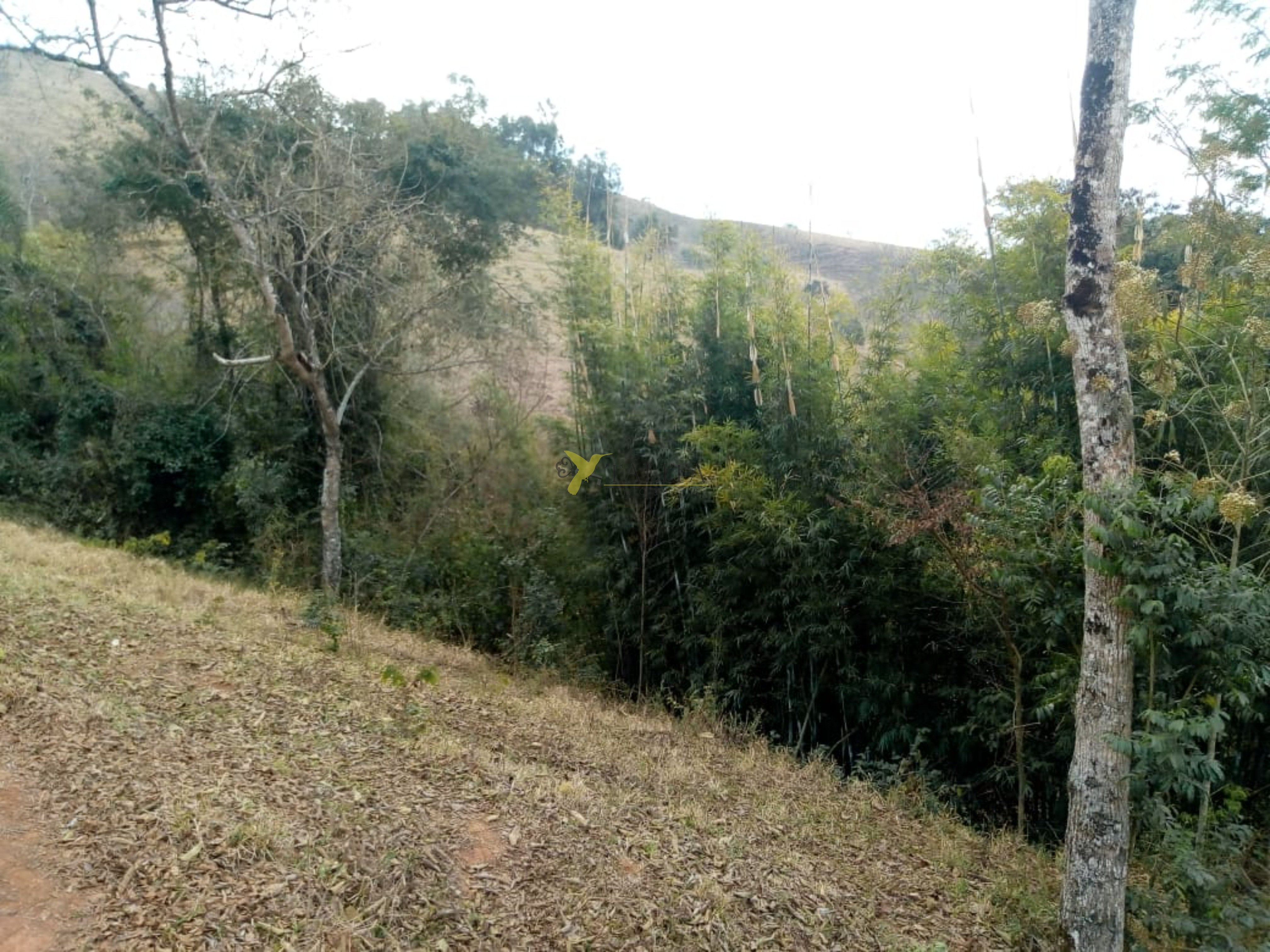 Fazenda à venda - cambuí - mg
