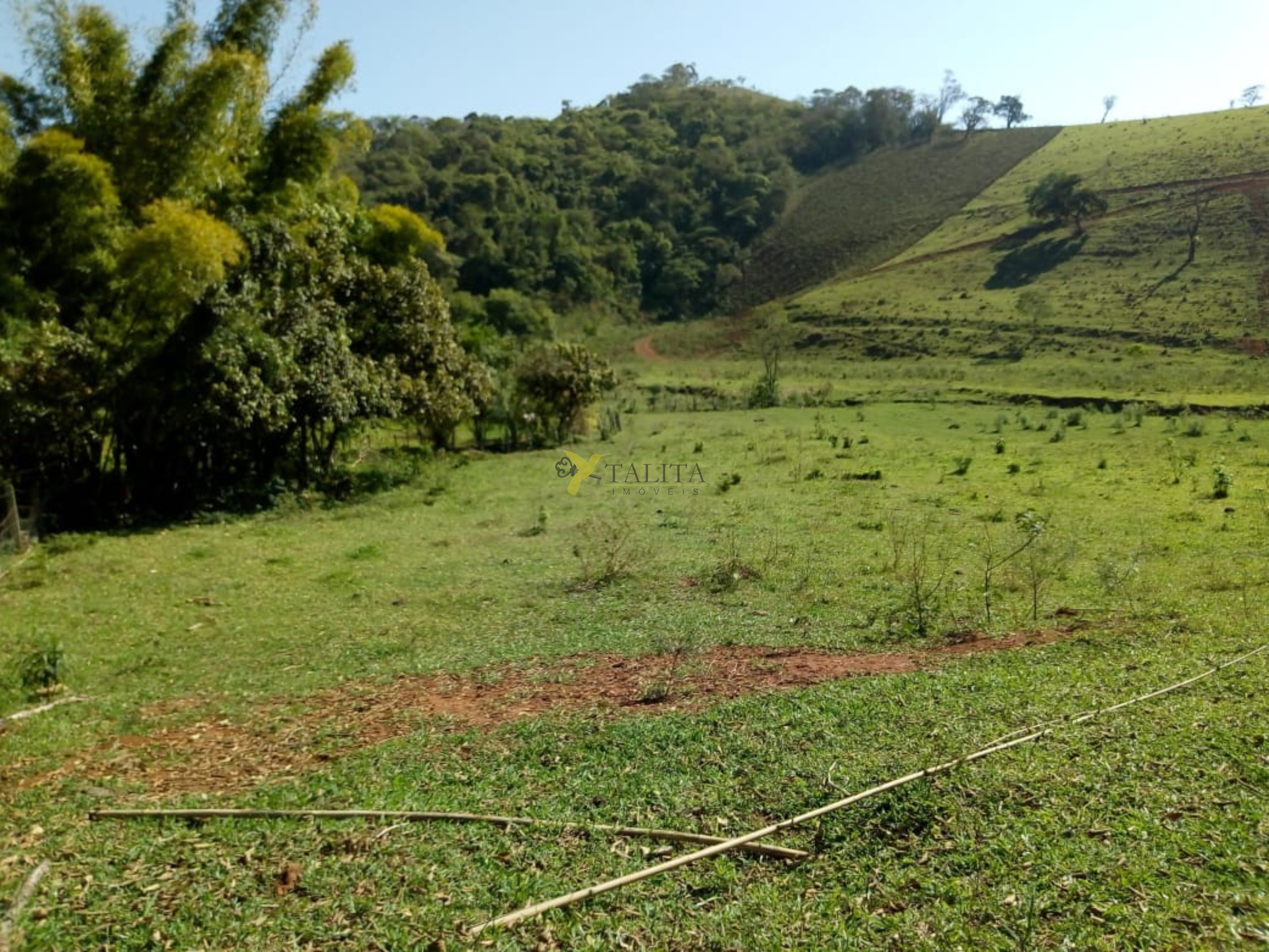 Fazenda à venda - cambuí - mg