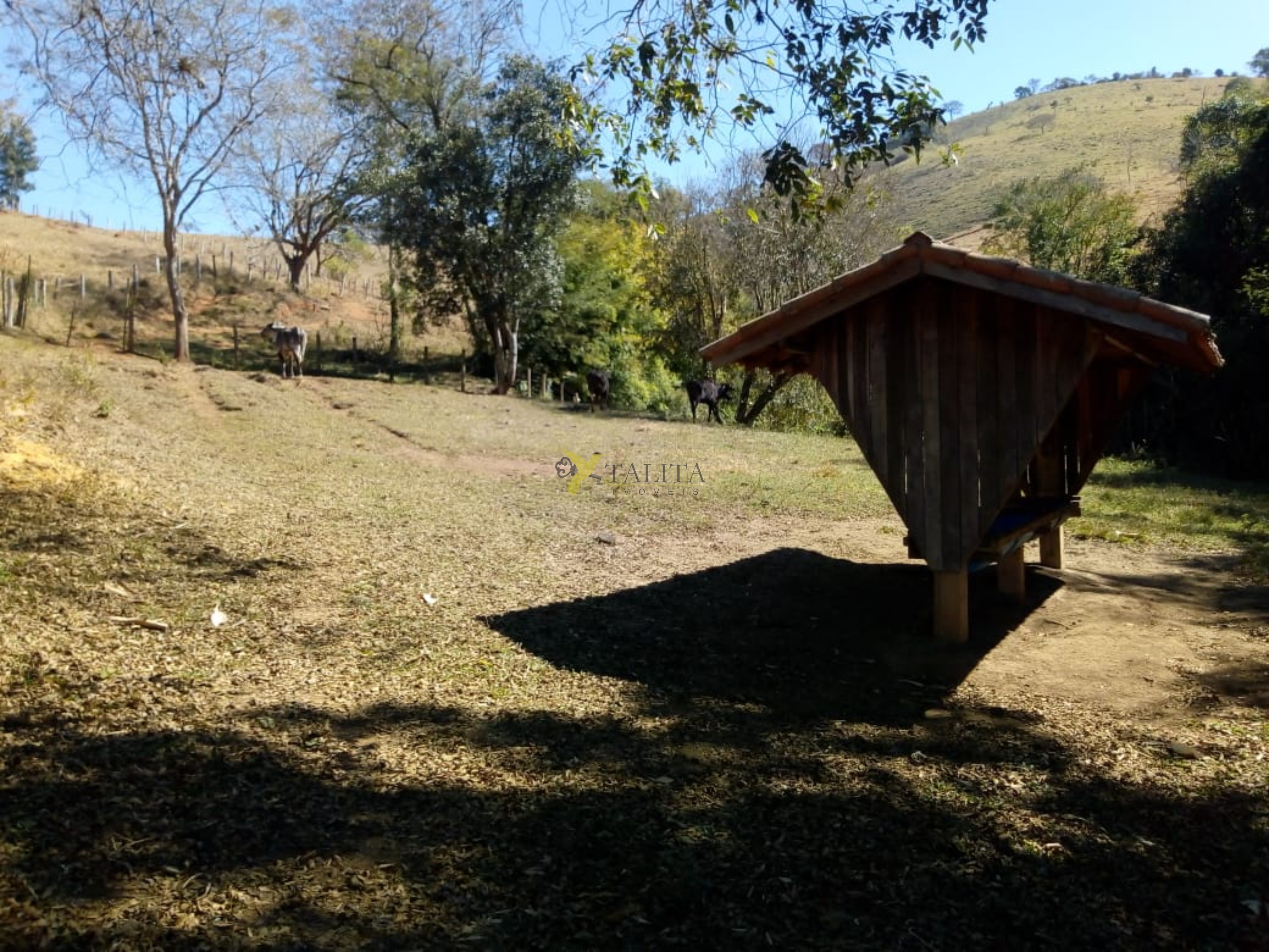 Fazenda à venda - cambuí - mg