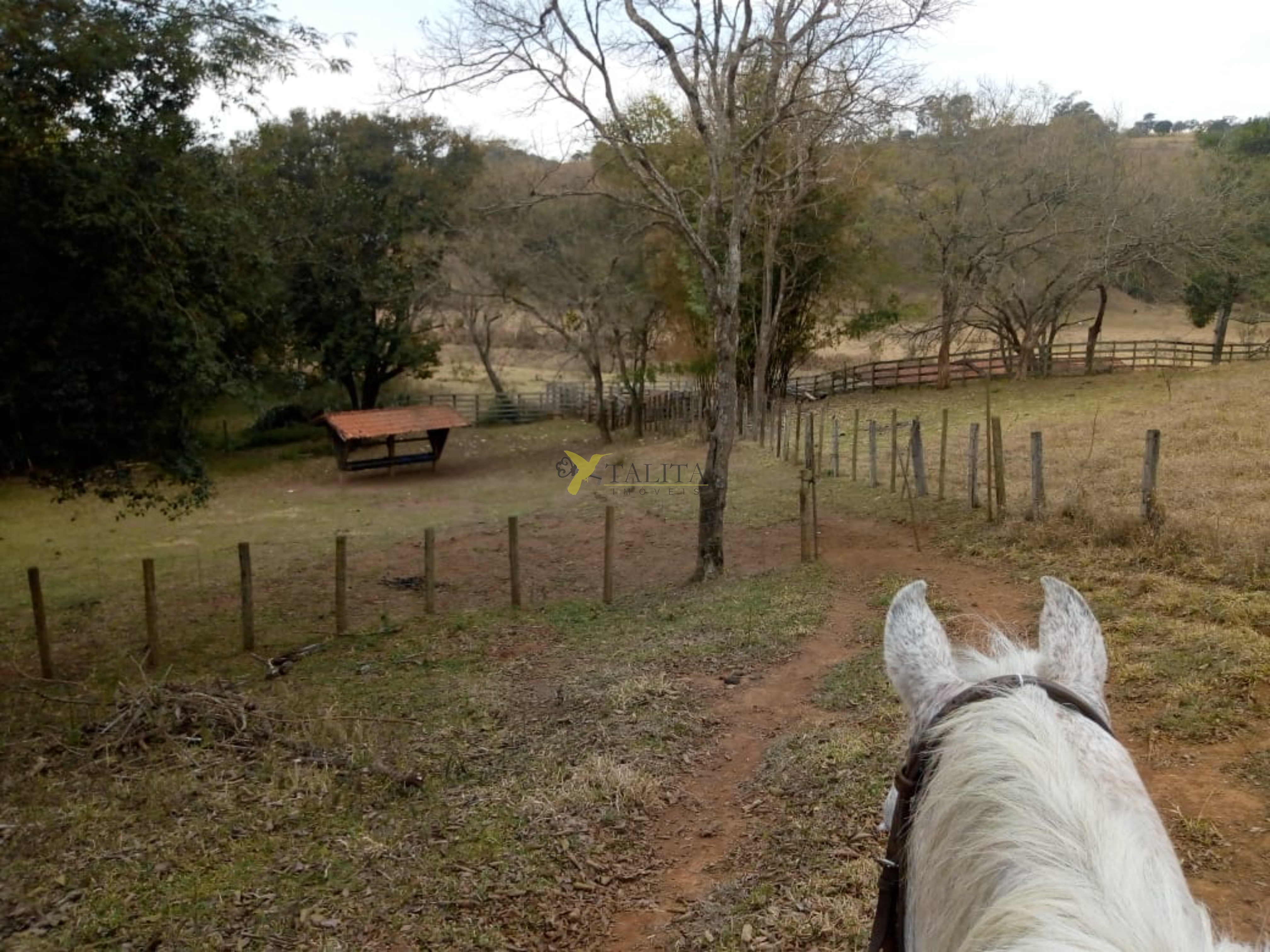 Fazenda à venda - cambuí - mg