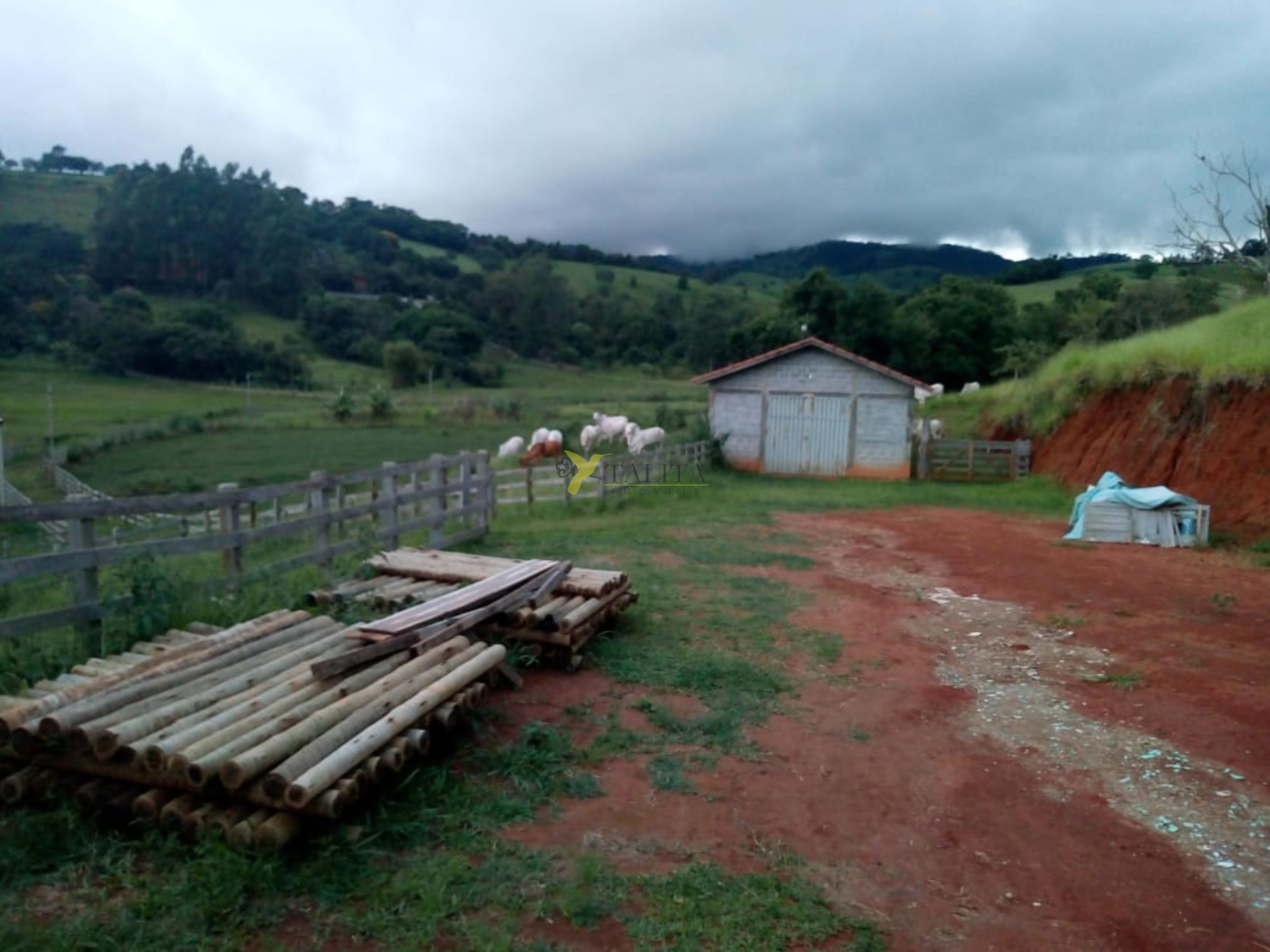 Fazenda à venda - cambuí - mg