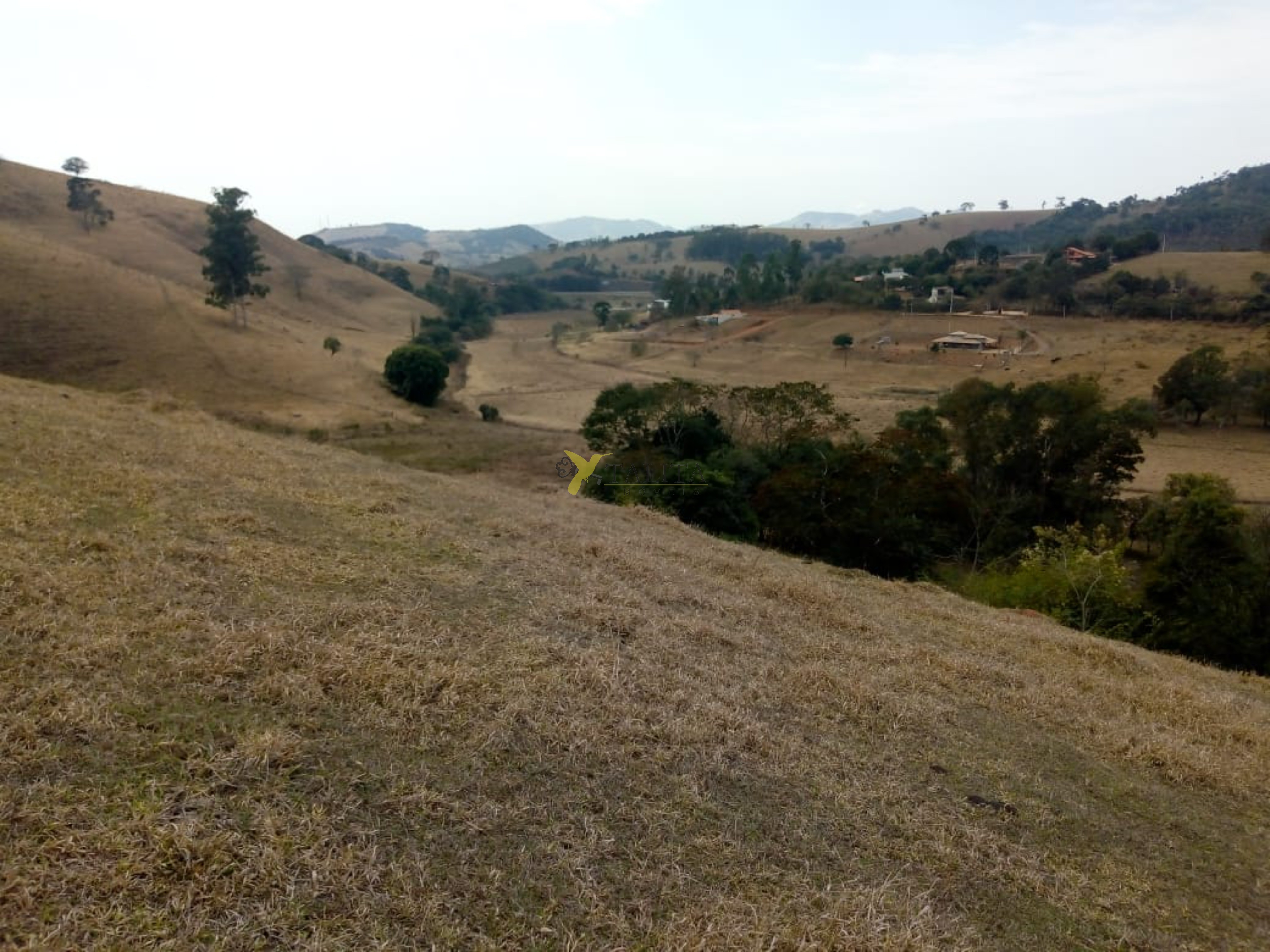 Fazenda à venda - cambuí - mg