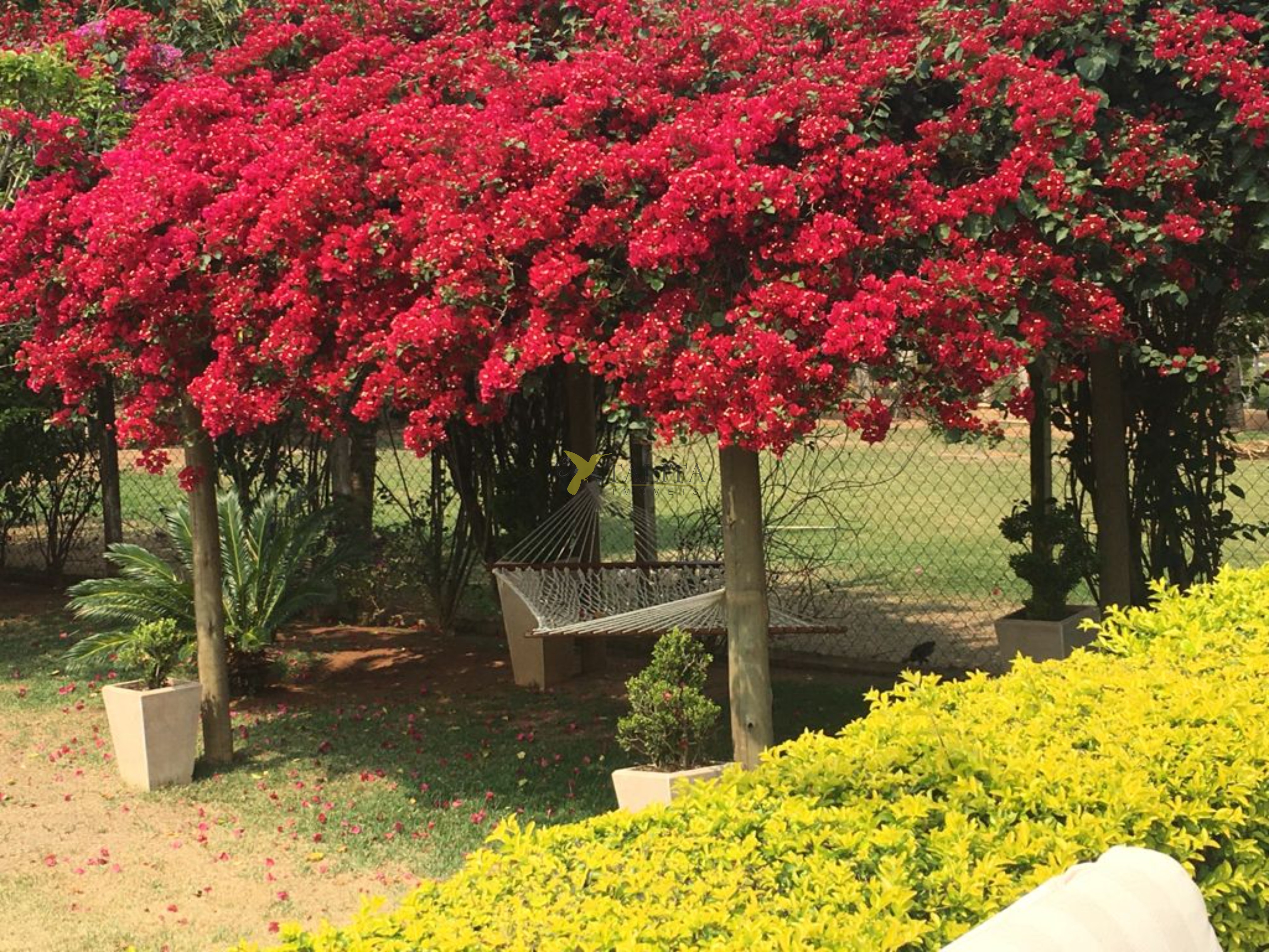 Chácara à venda - jardim bonanza - tietê
