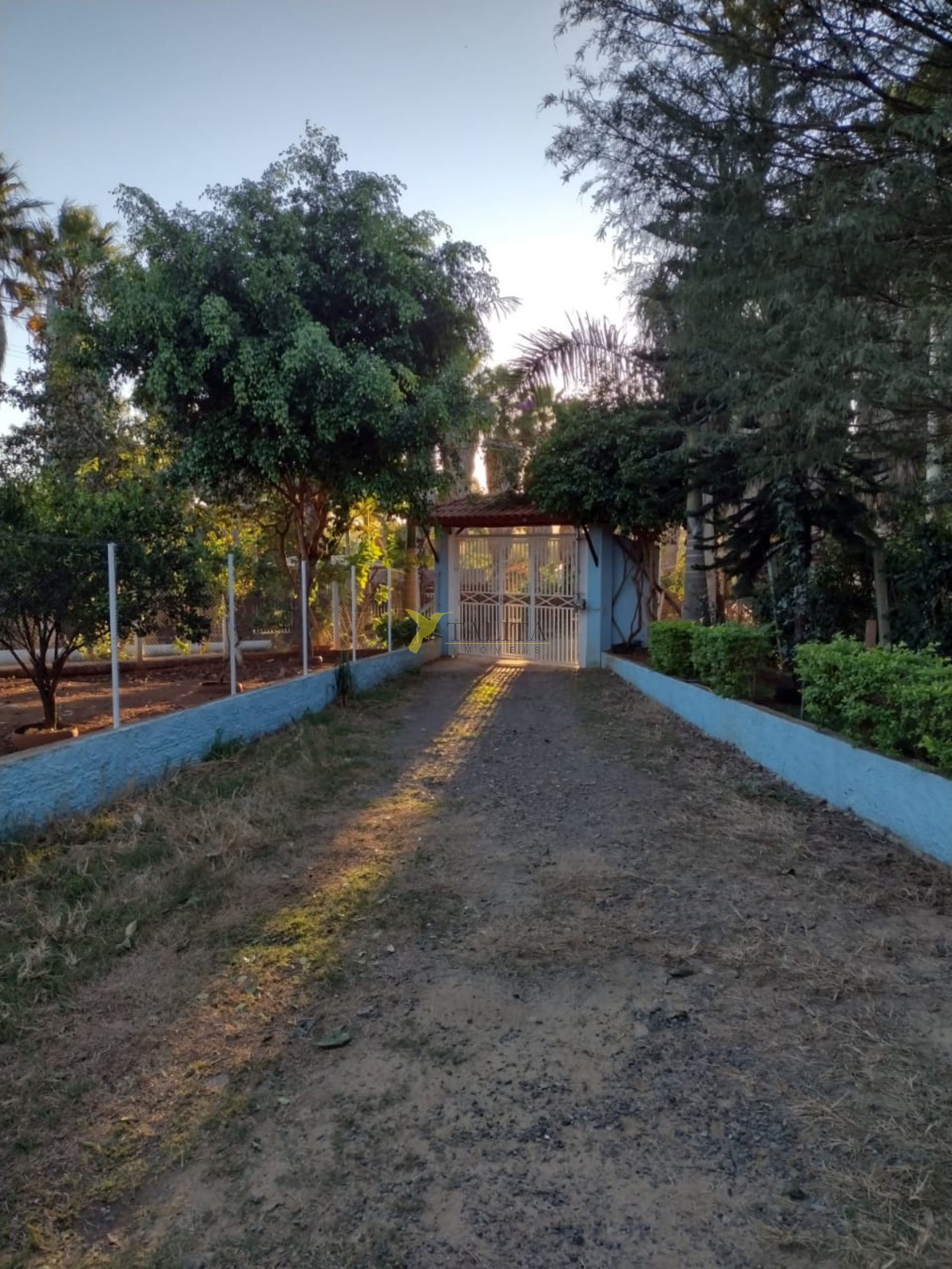 Chácara à venda - cesário lange - sp