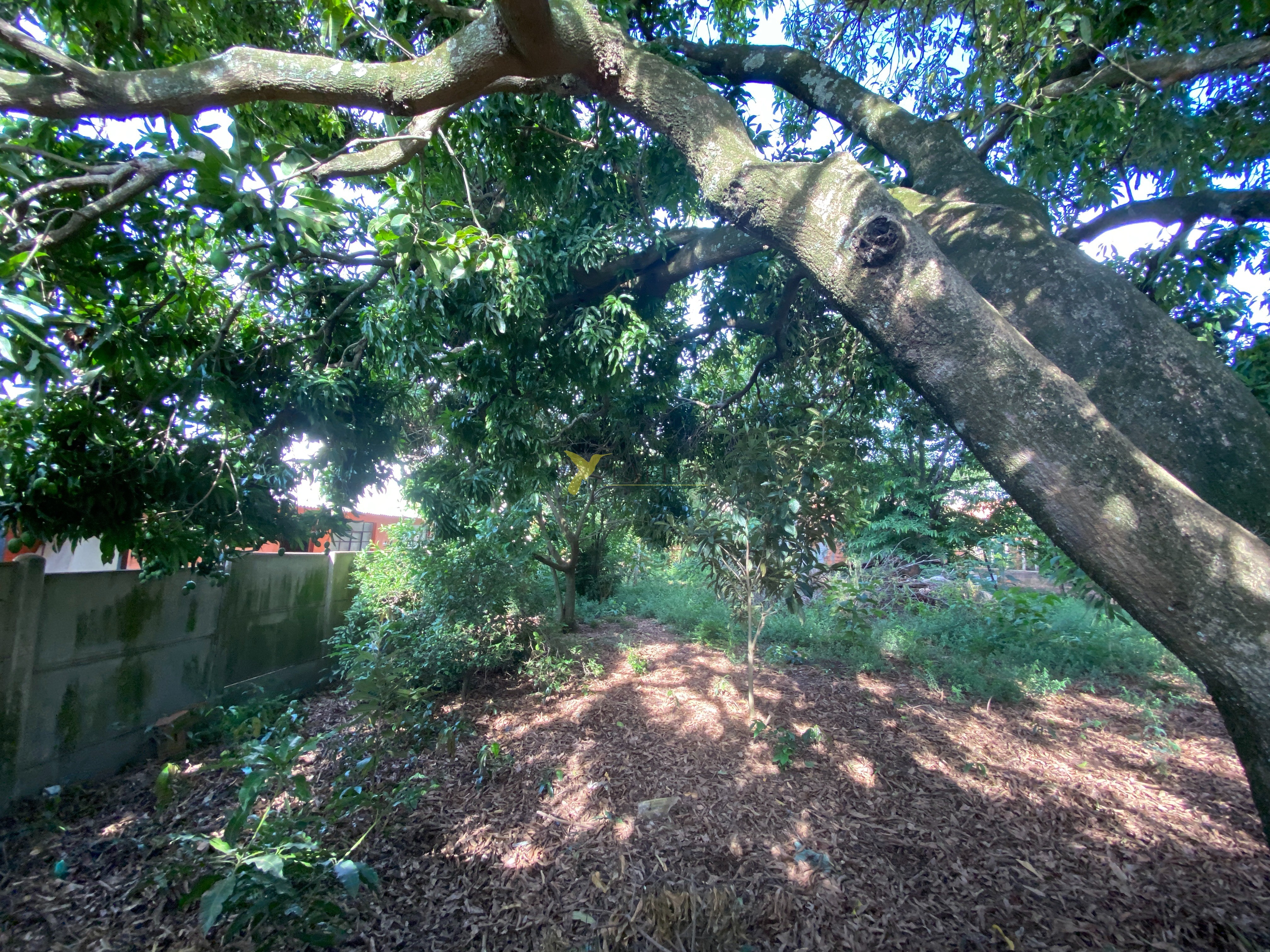 Terreno à venda - jardim tatuí
