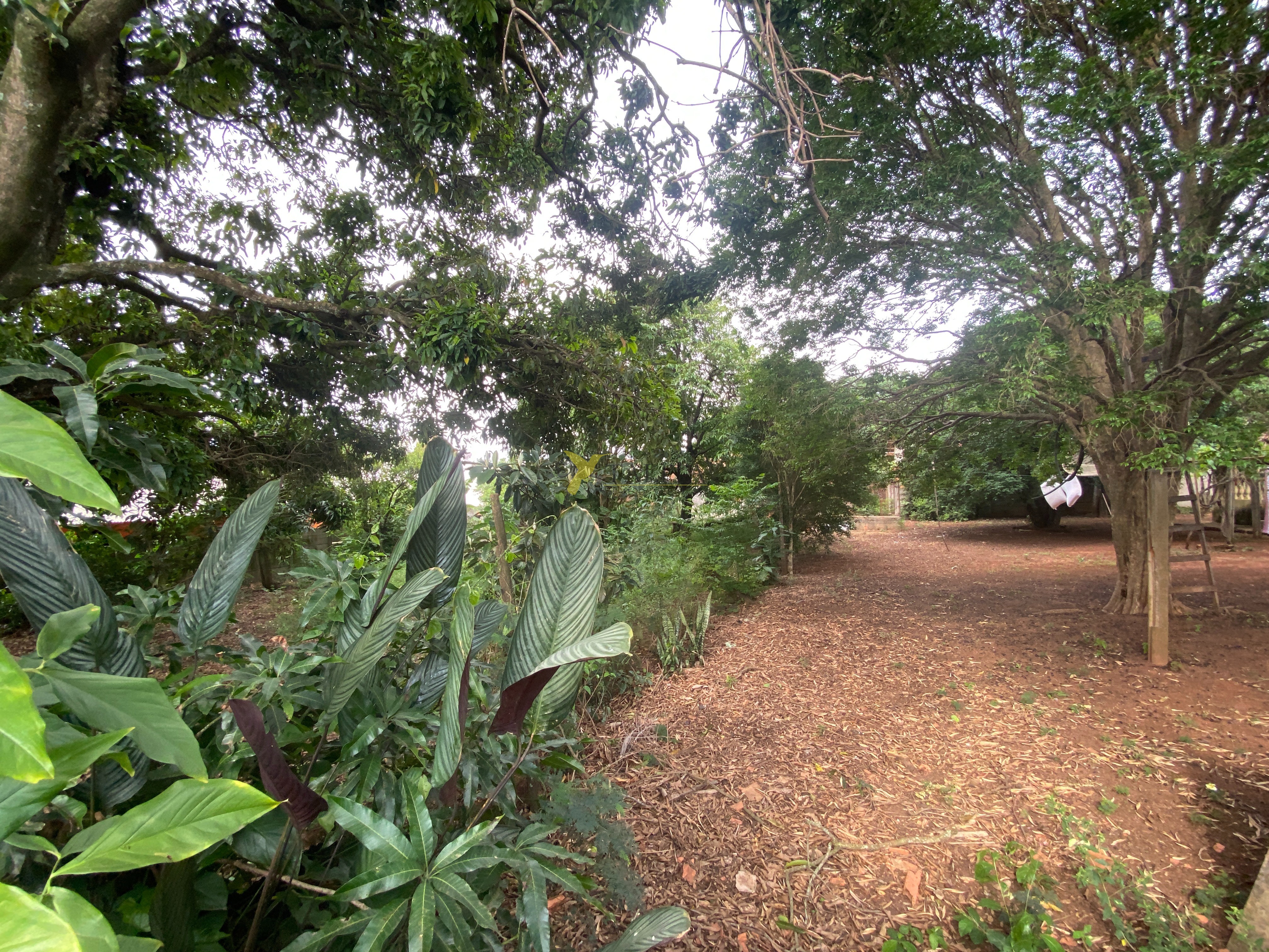 Terreno à venda - jardim tatuí