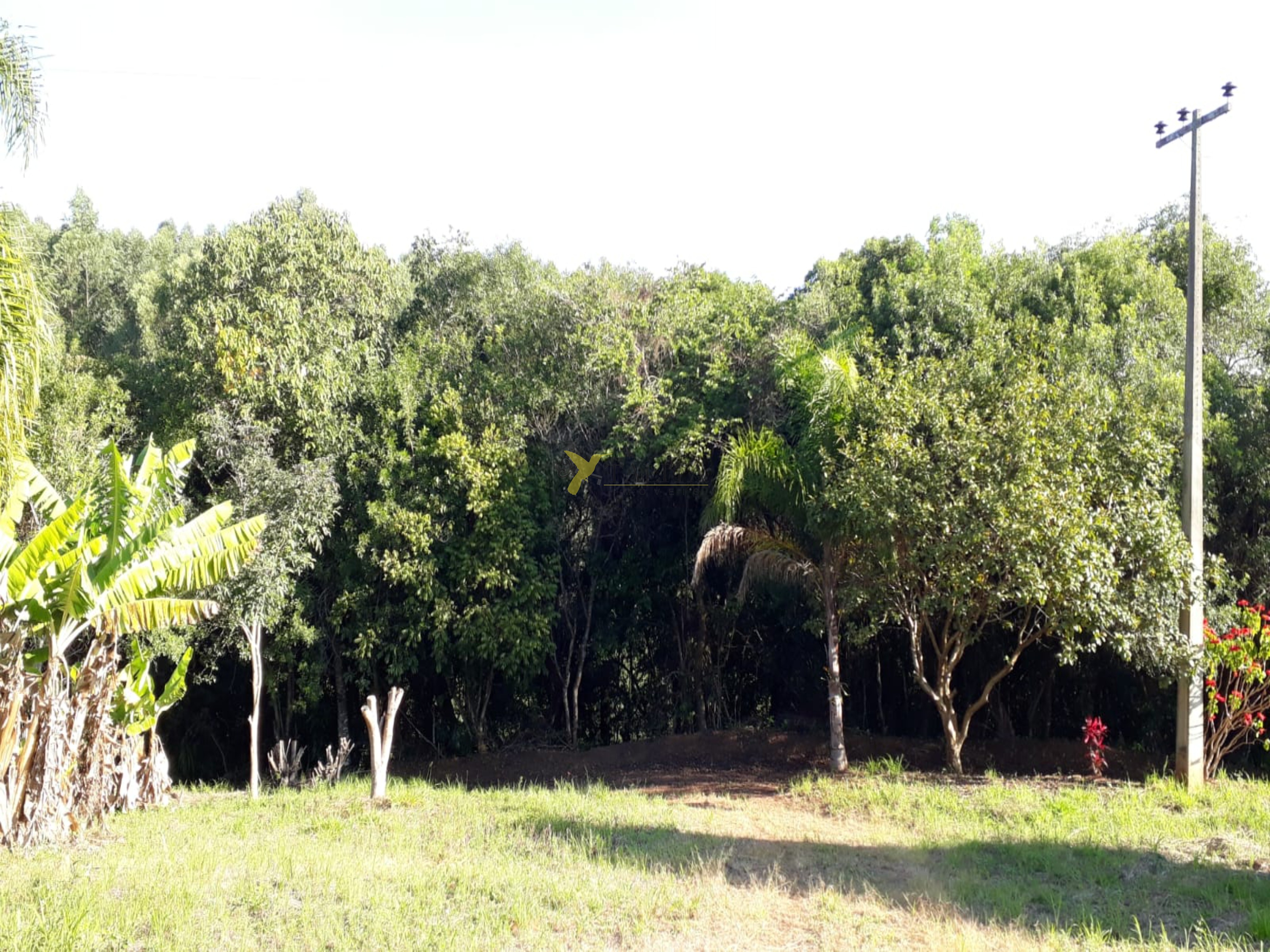 Sítio à venda - pilar do sul (sp)