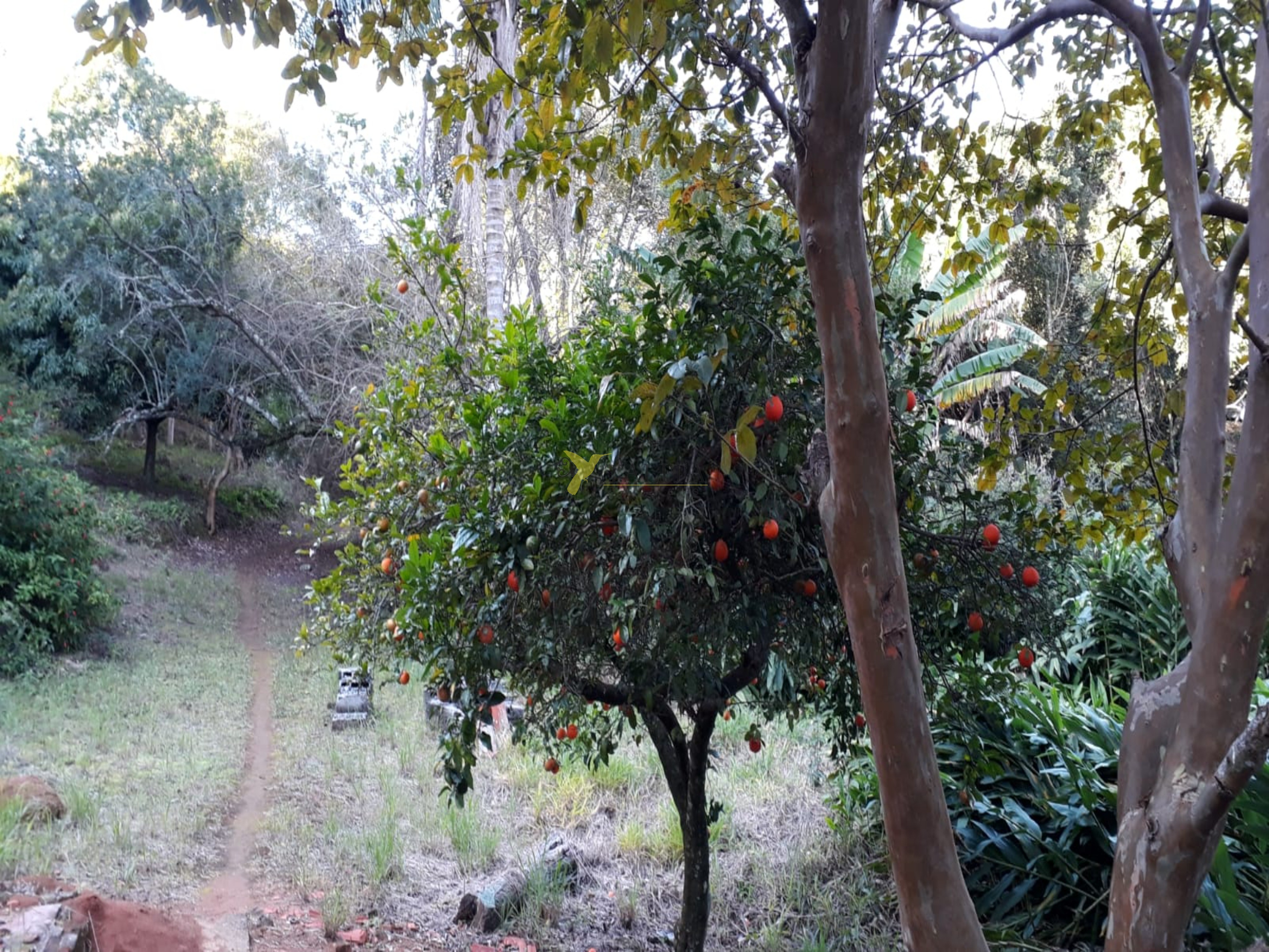 Sítio à venda - pilar do sul (sp)