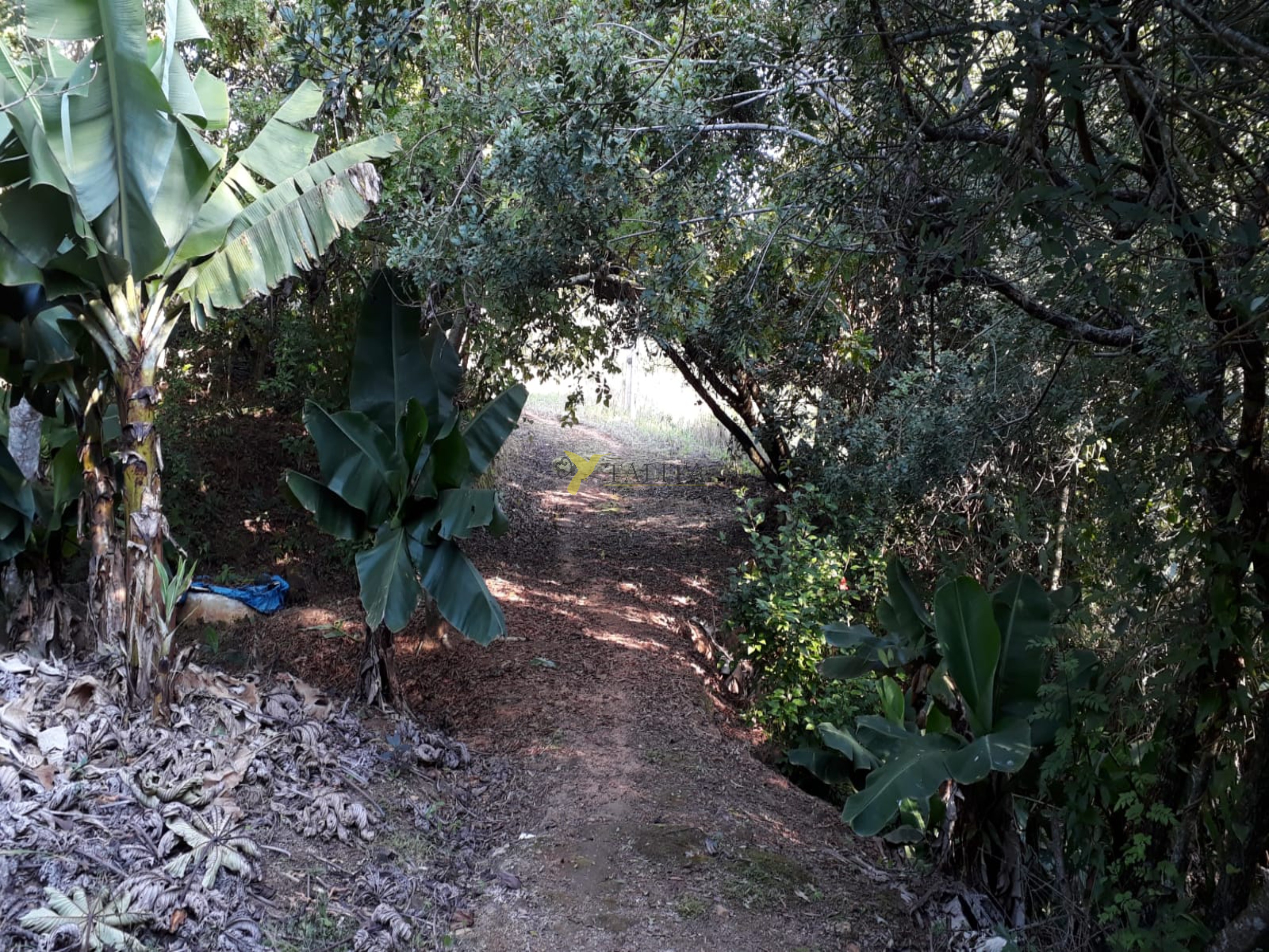 Sítio à venda - pilar do sul (sp)