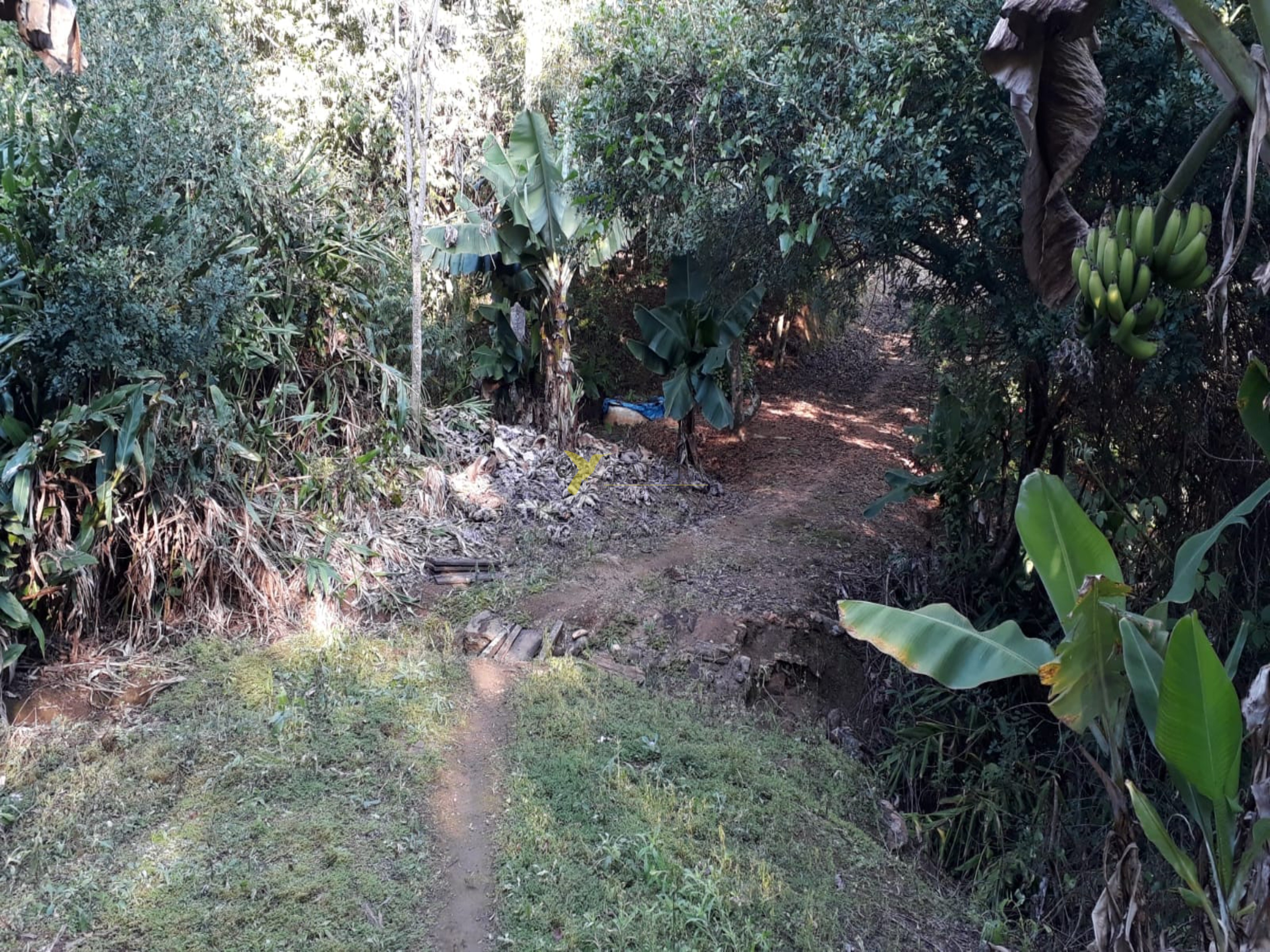 Sítio à venda - pilar do sul (sp)