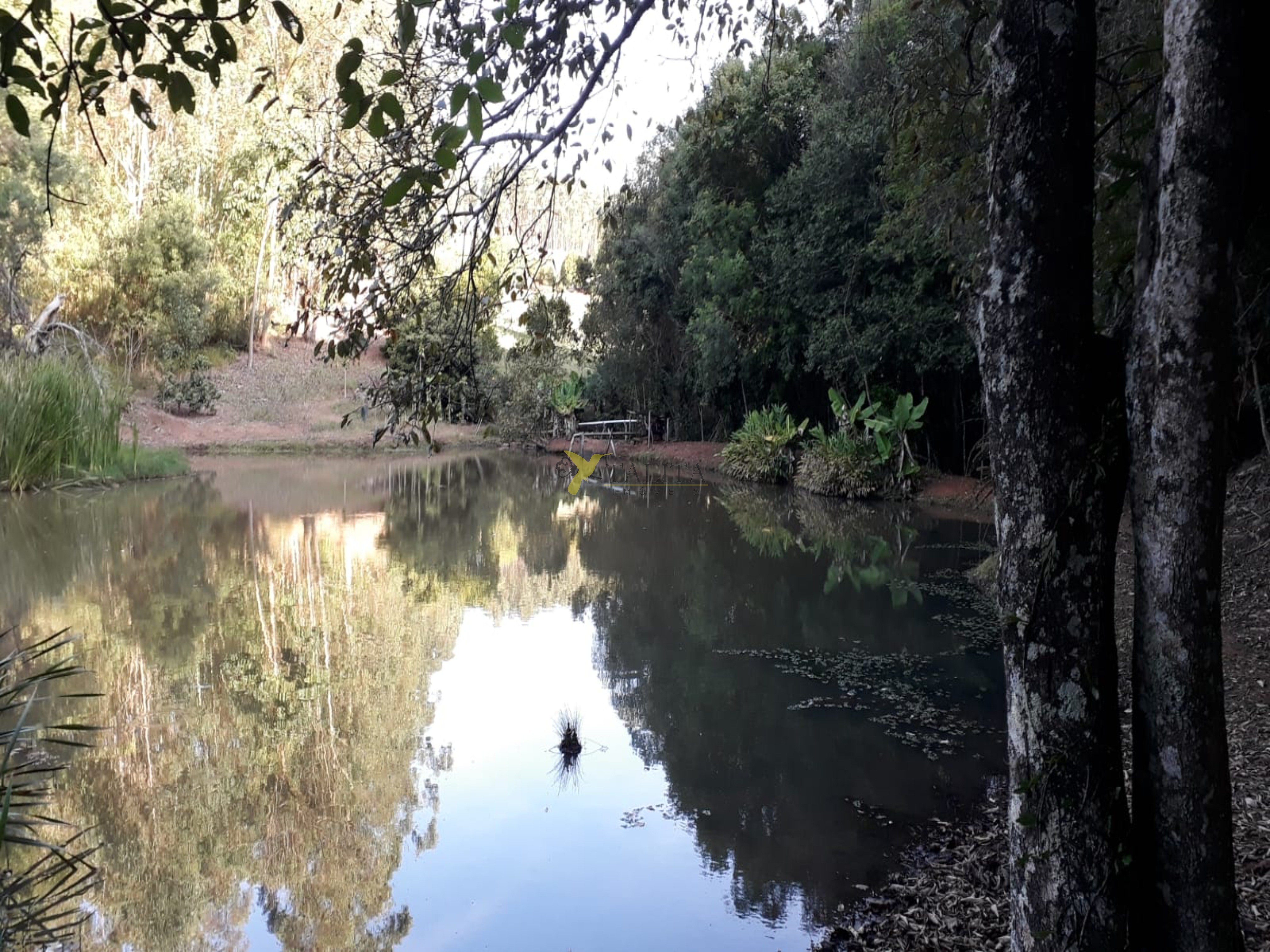 Sítio à venda - pilar do sul (sp)