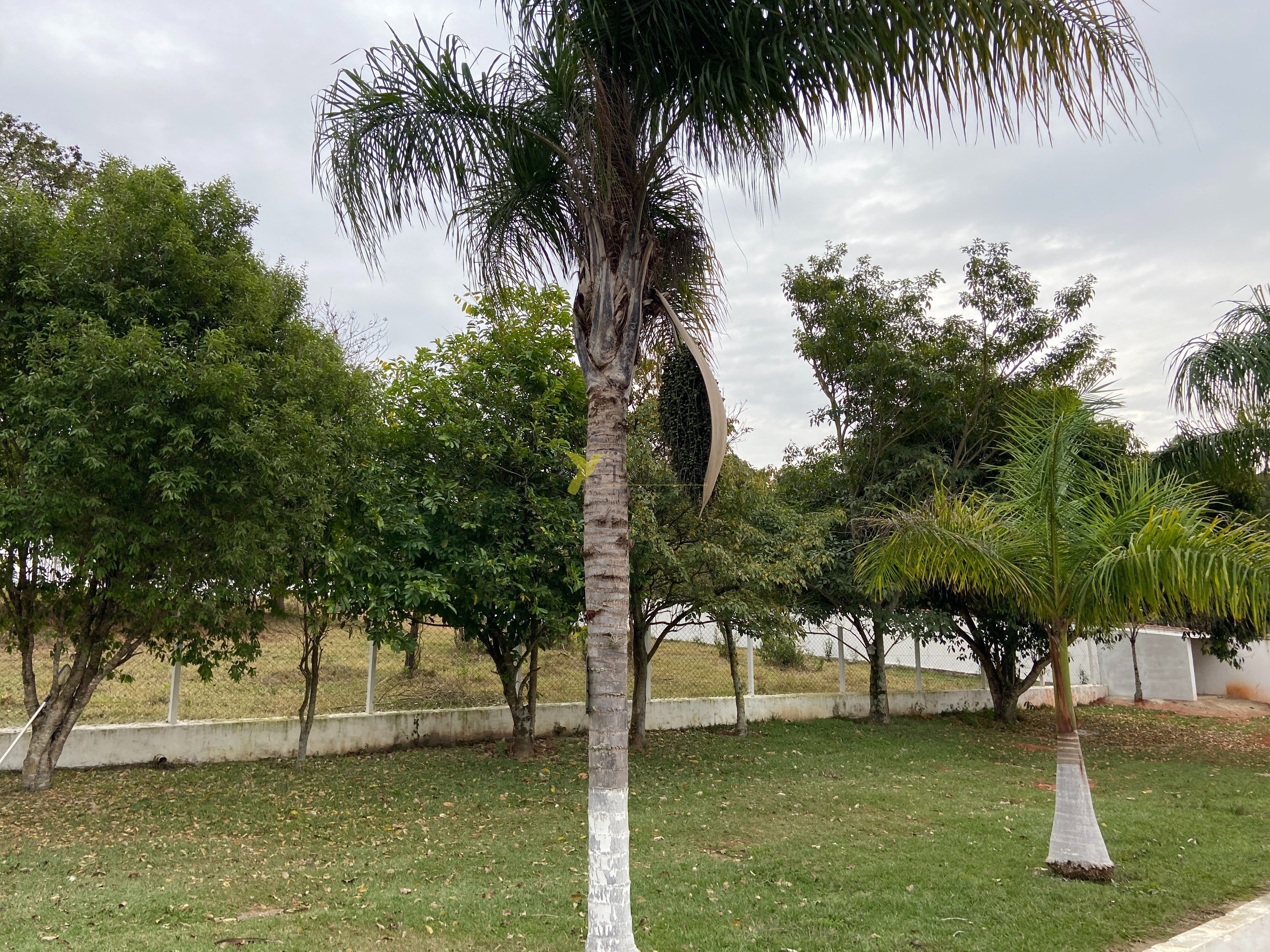 Chácara à venda - tatuí - sp