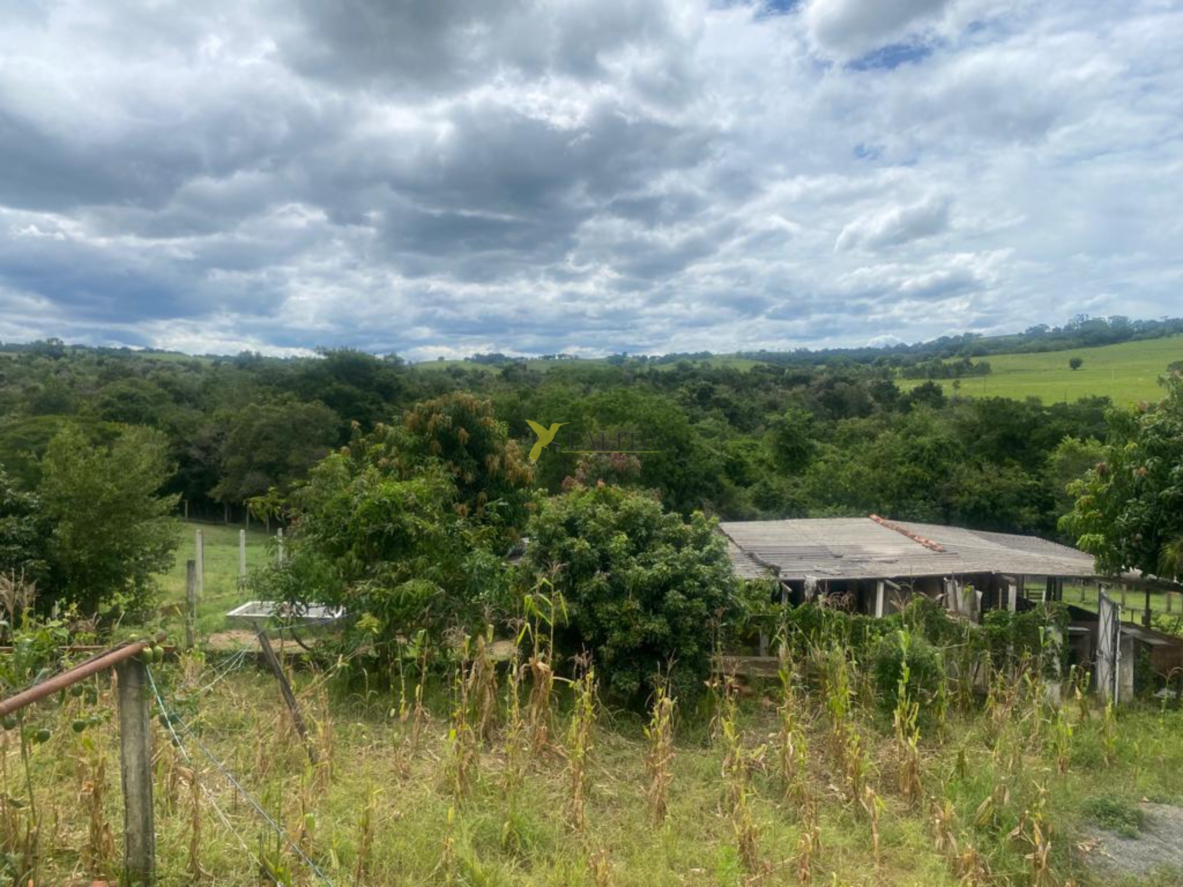 Chácara à venda - porangaba