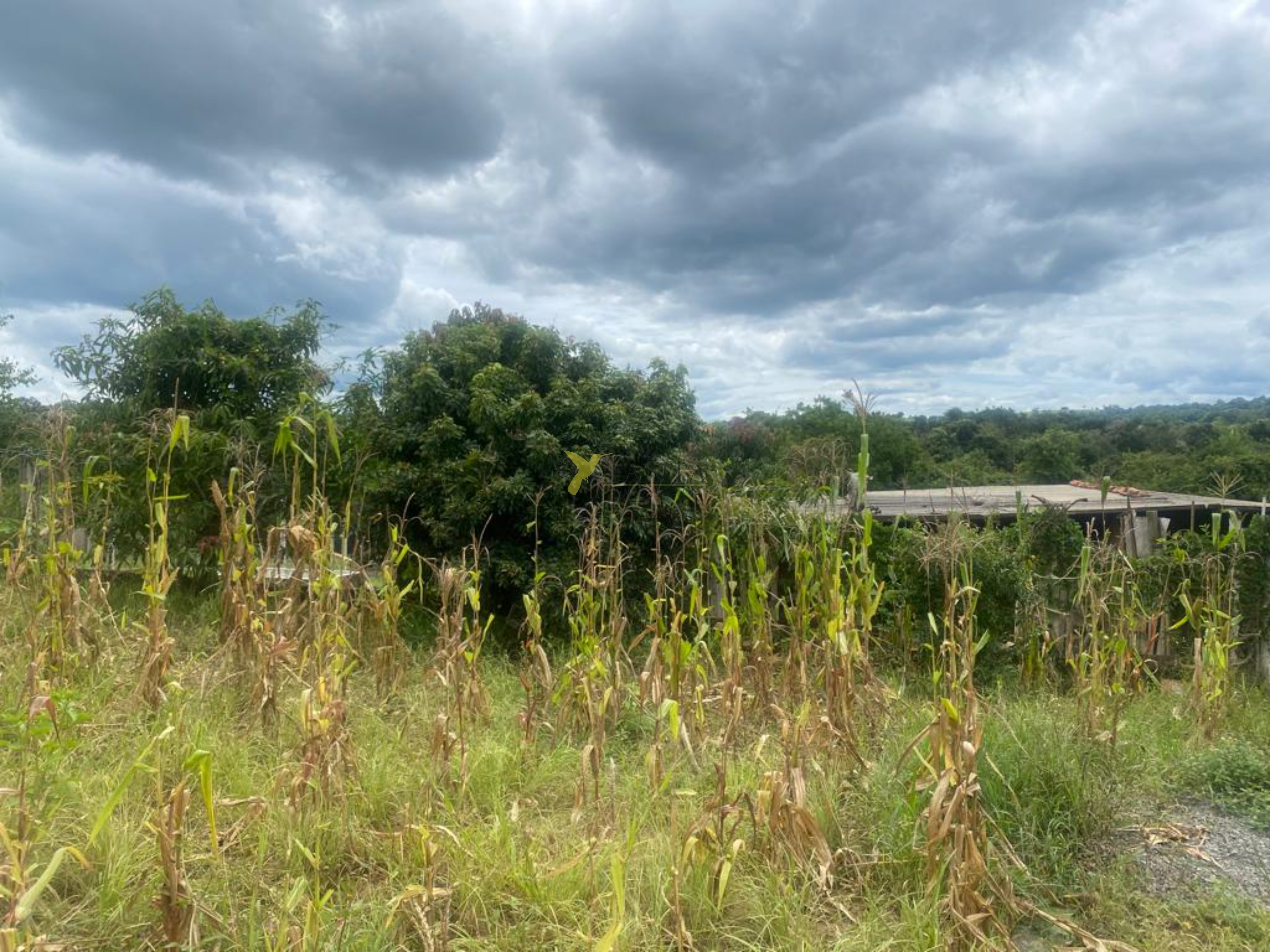 Chácara à venda - porangaba