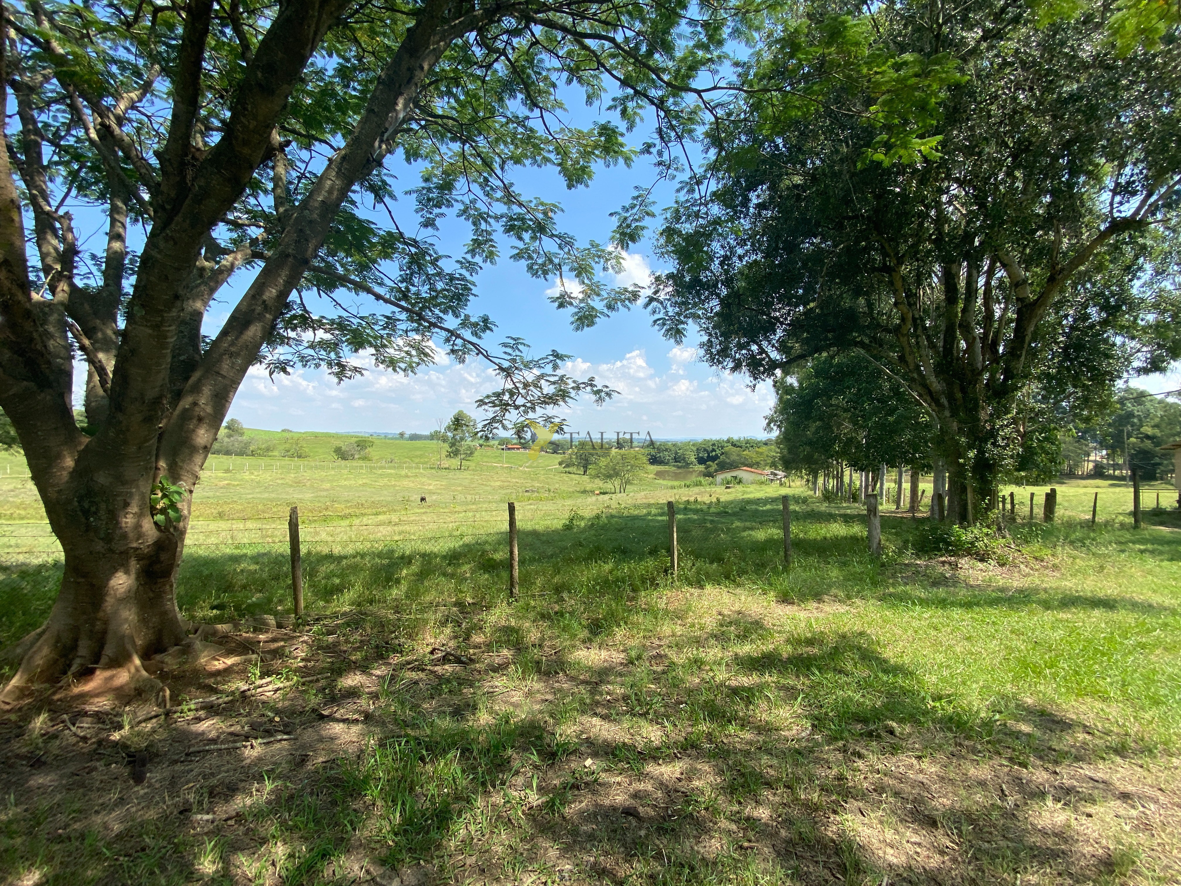 Sítio à venda - pereiras (sp)