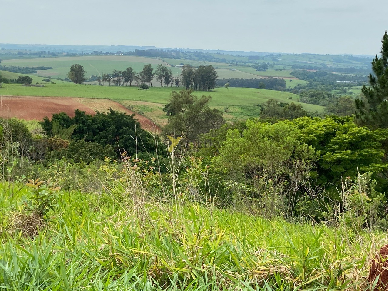Sítio à venda - laranjal paulista (sp)
