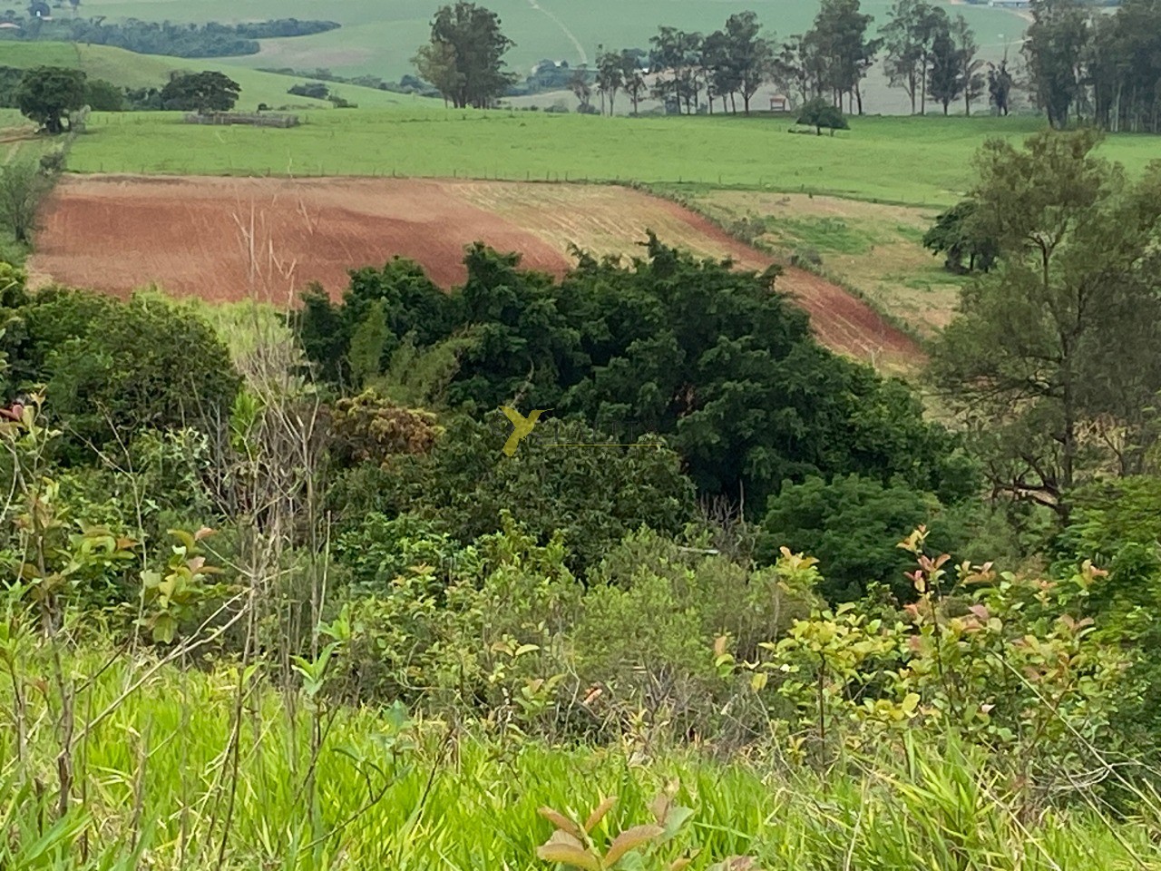 Sítio à venda - laranjal paulista (sp)