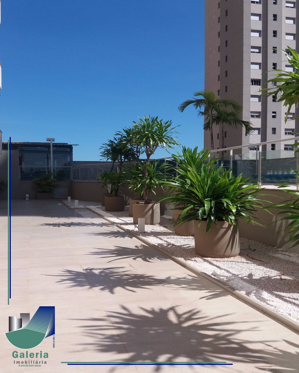 APARTAMENTO em BOSQUE DAS JURITIS, RIBEIRAO PRETO - Apartamento em Ribeirão Preto à Venda - Foto 11