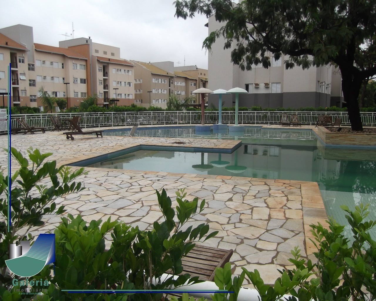 APARTAMENTO em BOSQUE DAS CAVIUNAS, RIBEIRÃO PRETO - Apartamento em Ribeirão Preto à Venda - Foto 1