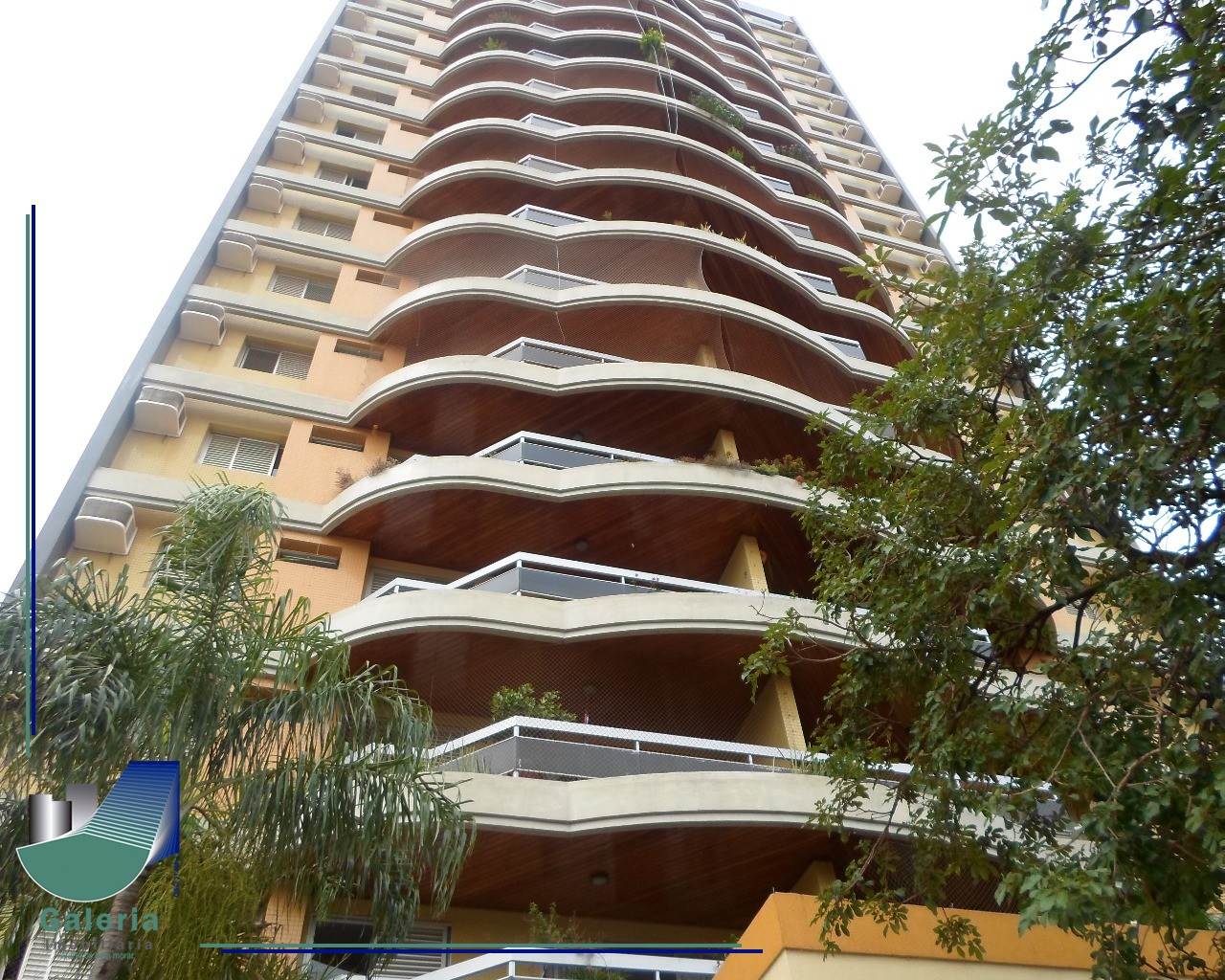 APARTAMENTO em CENTRO, RIBEIRÃO PRETO - Apartamento em Ribeirão Preto Aluguel, Locação - Foto 1