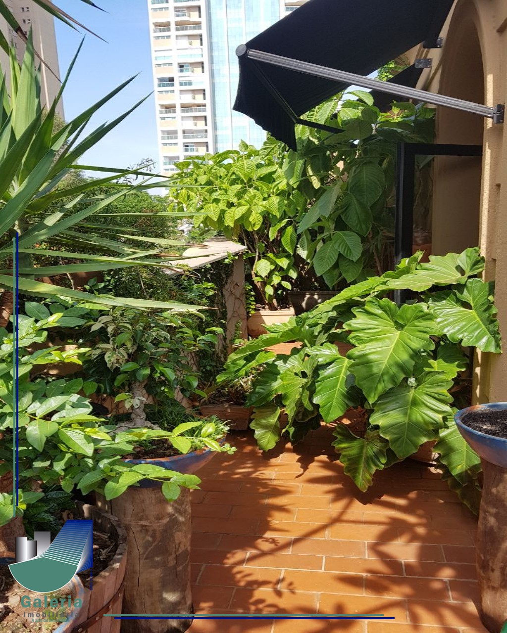 APARTAMENTO em BOSQUE DAS JURITIS, RIBEIRÃO PRETO - Apartamento em Ribeirão Preto à Venda - Foto 16
