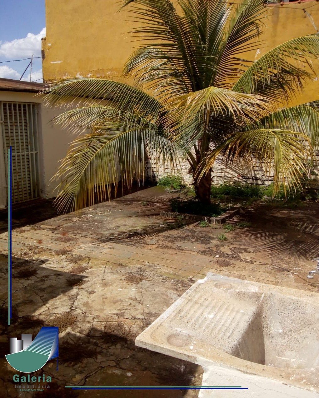 Casa em CAMPOS ELÍSEOS, RIBEIRÃO PRETO - Casa em Ribeirão Preto para Alugar