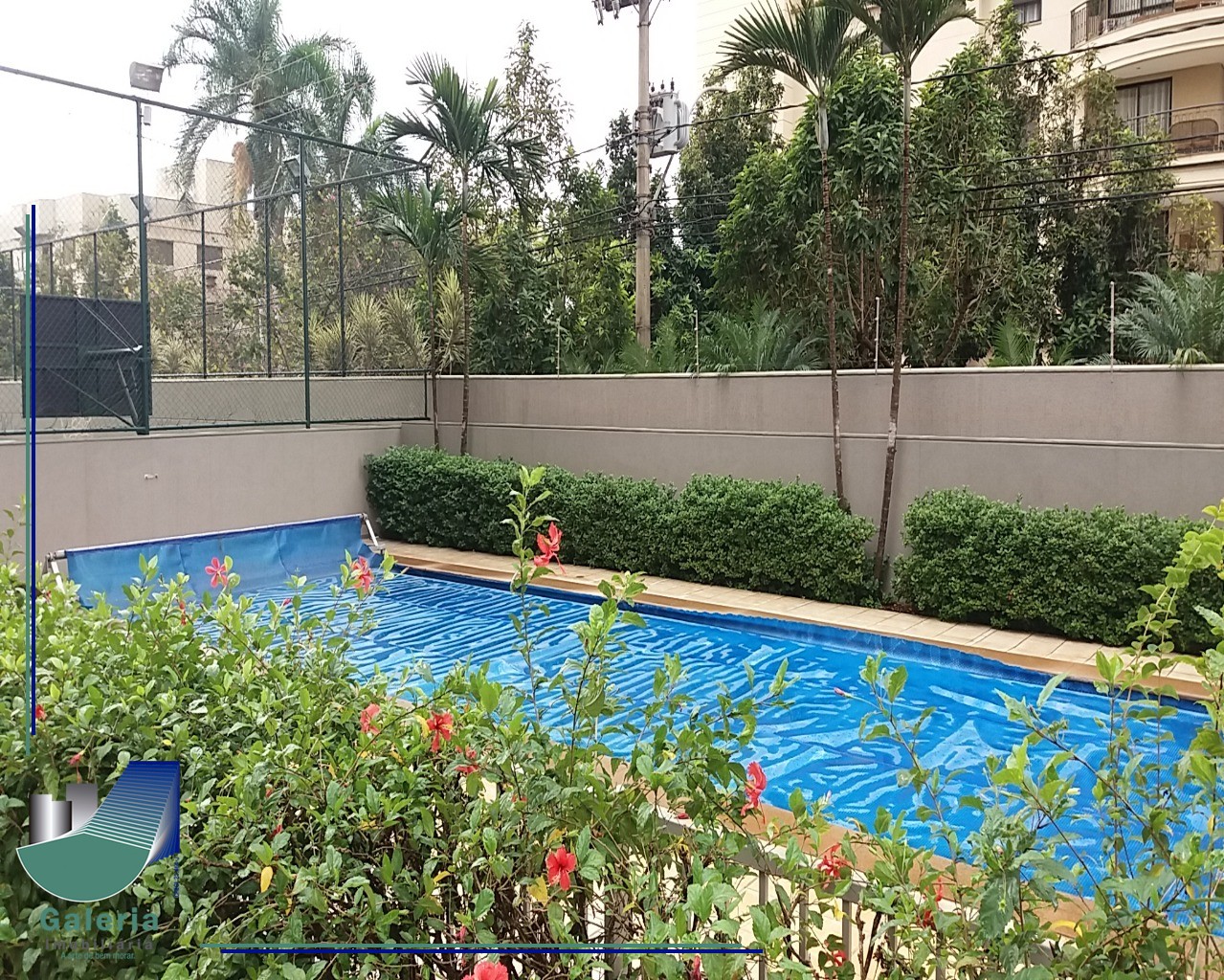 APARTAMENTO em BOSQUE DAS JURITIS, RIBEIRÃO PRETO - Apartamento em Ribeirão Preto Aluguel, Locação - Foto 6