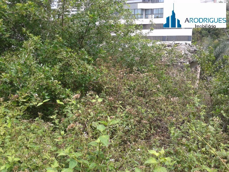 Loteamento e Condomínio, 3330 m² - Foto 3