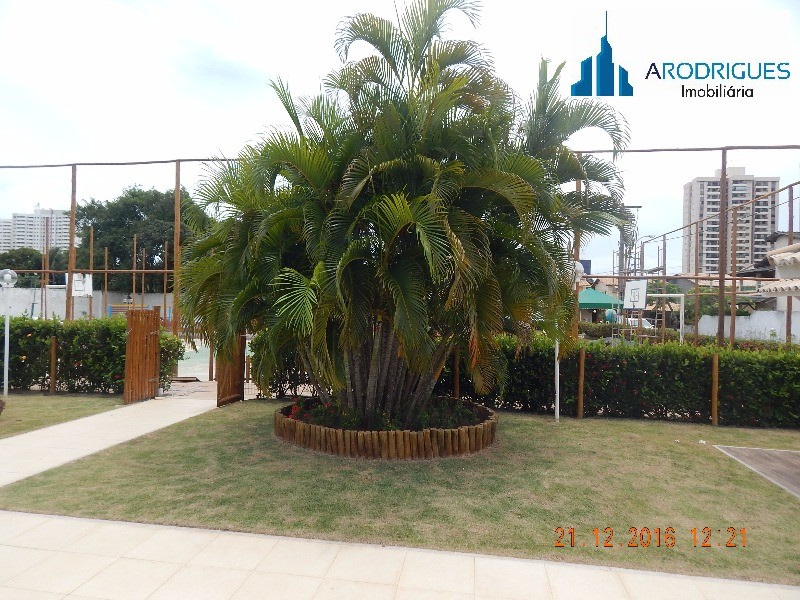 Casa, 3 quartos - Foto 40