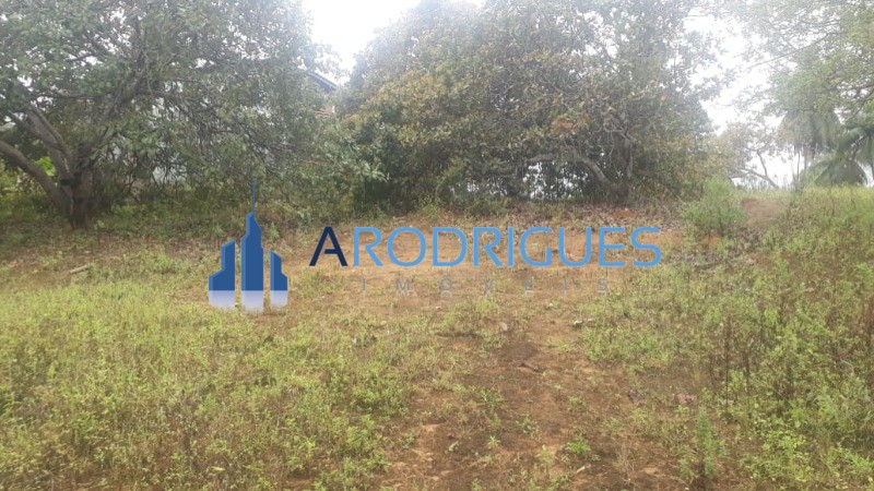 Loteamento e Condomínio, 1 hectares - Foto 6