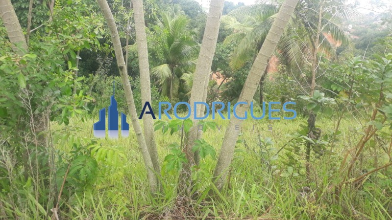 Loteamento e Condomínio, 1 hectares - Foto 8