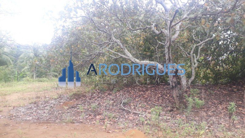 Loteamento e Condomínio, 1 hectares - Foto 10