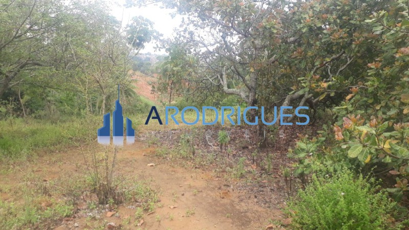 Loteamento e Condomínio, 1 hectares - Foto 12