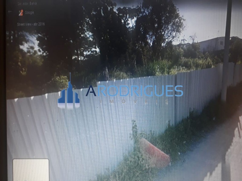 Terreno, 3 hectares - Foto 6