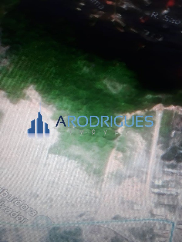 Terreno, 3 hectares - Foto 7