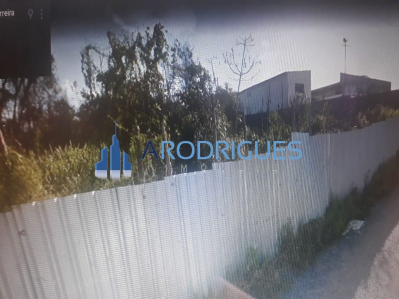 Terreno, 3 hectares - Foto 8