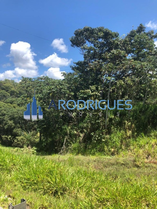 Loteamento e Condomínio, 21 hectares - Foto 7