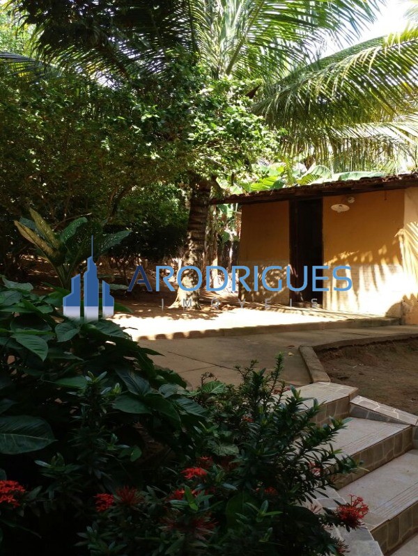 Sítio, 3 quartos, 3420 m² - Foto 16