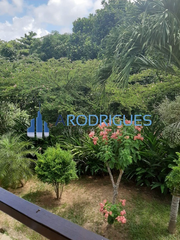 Sítio, 3 quartos, 3420 m² - Foto 34