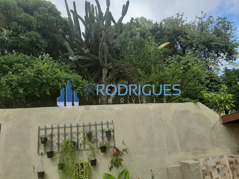 Sítio, 3 quartos, 3420 m² - Foto 66